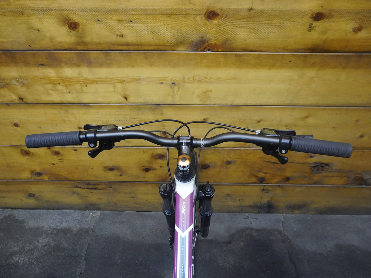 Titan Racing Rogue Mountain Bike