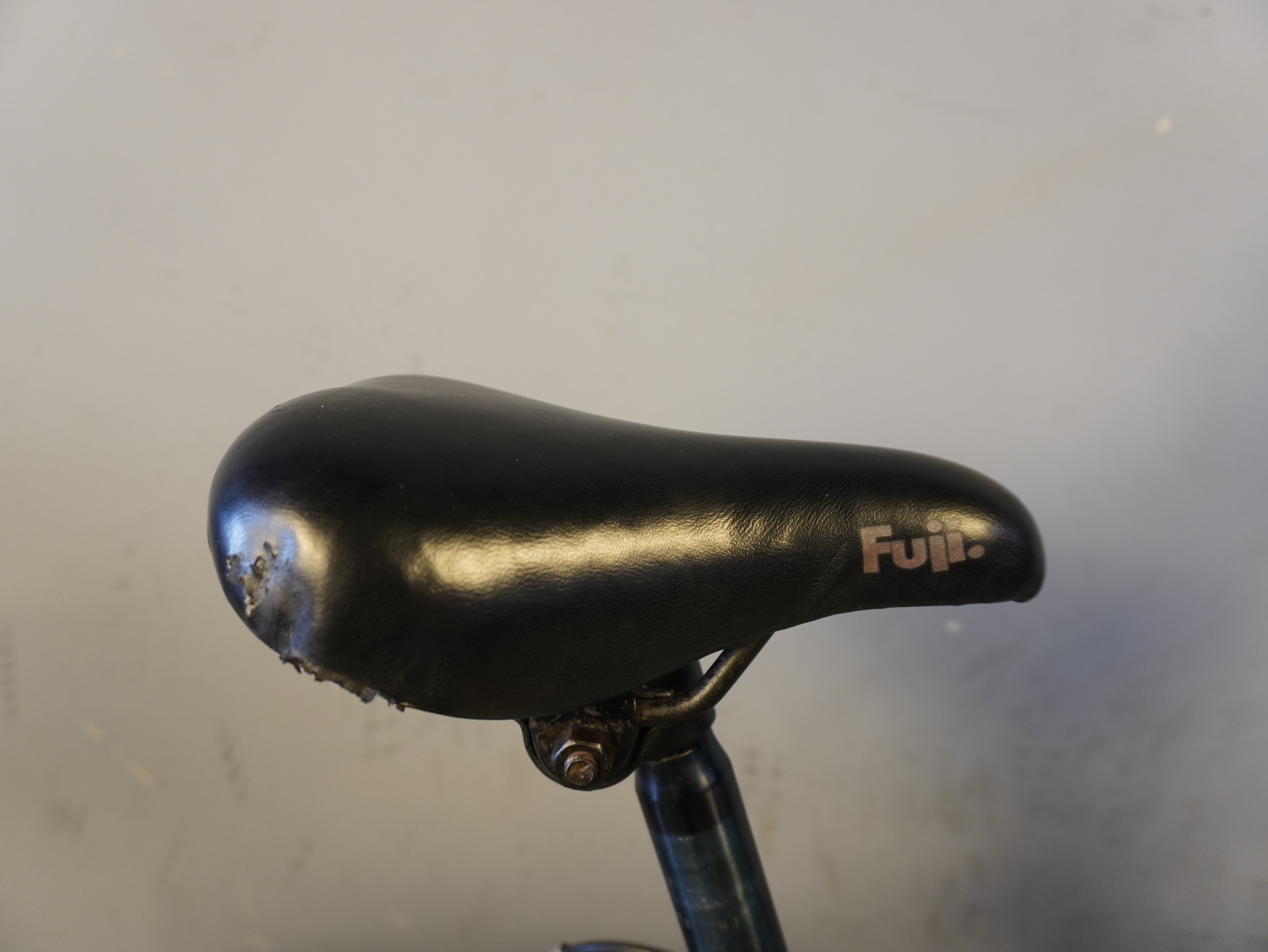 Fuji Rookie Kids Bike