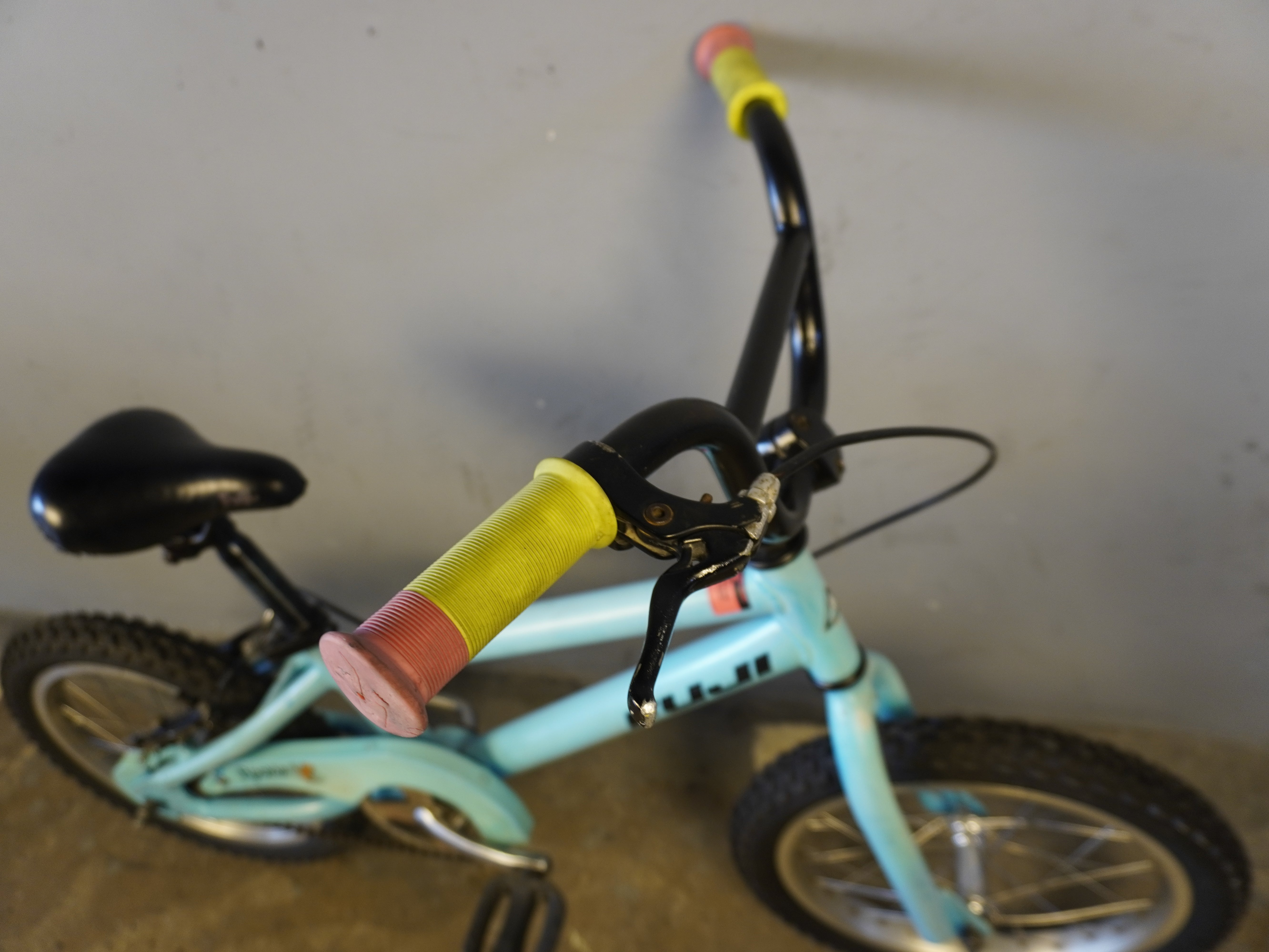 Fuji Rookie Kids Bike