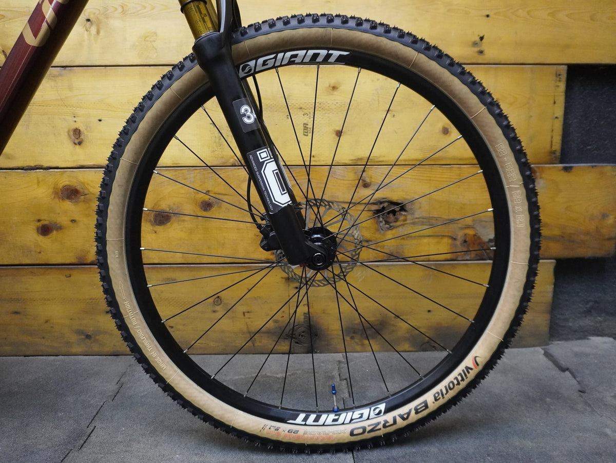 RENT LIV Tempt 2 Mountain Bike