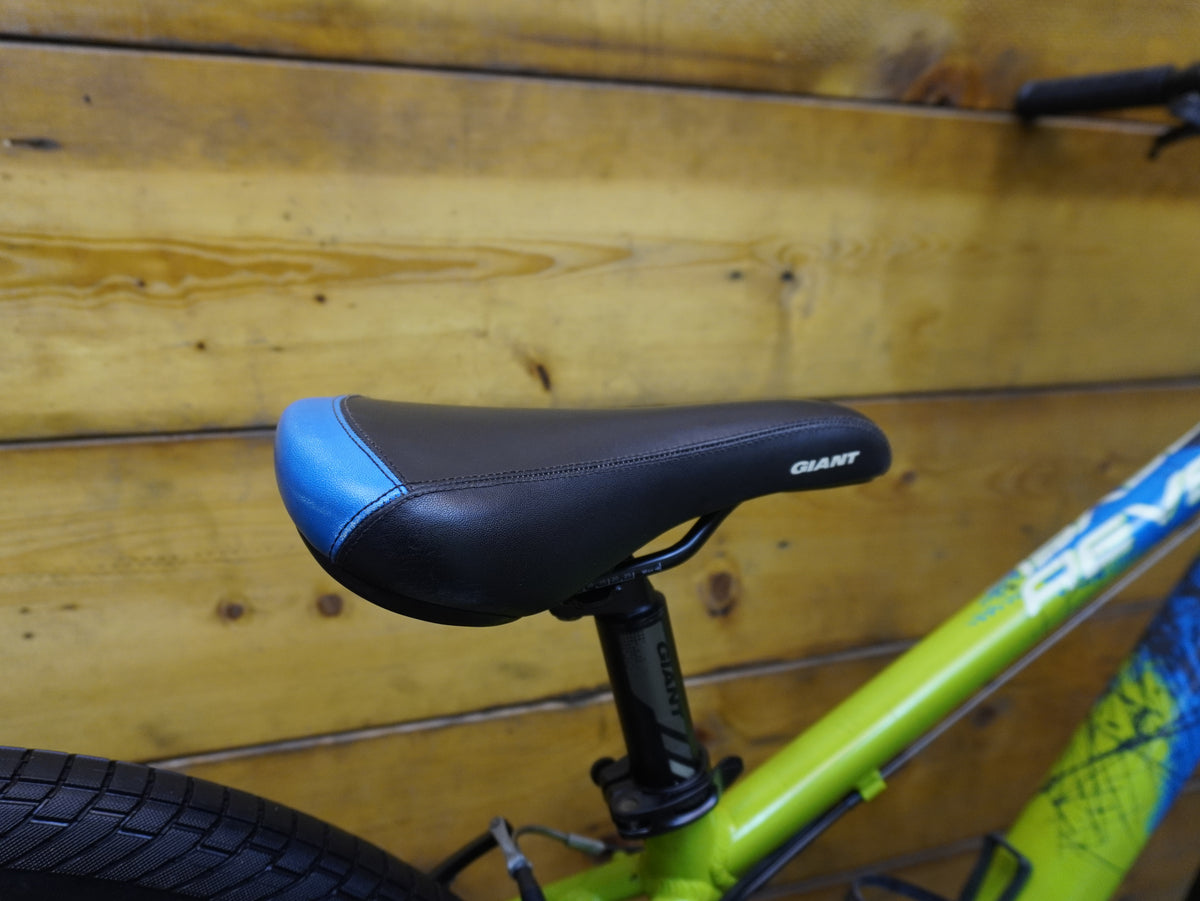 Giant Revel 2 MTB