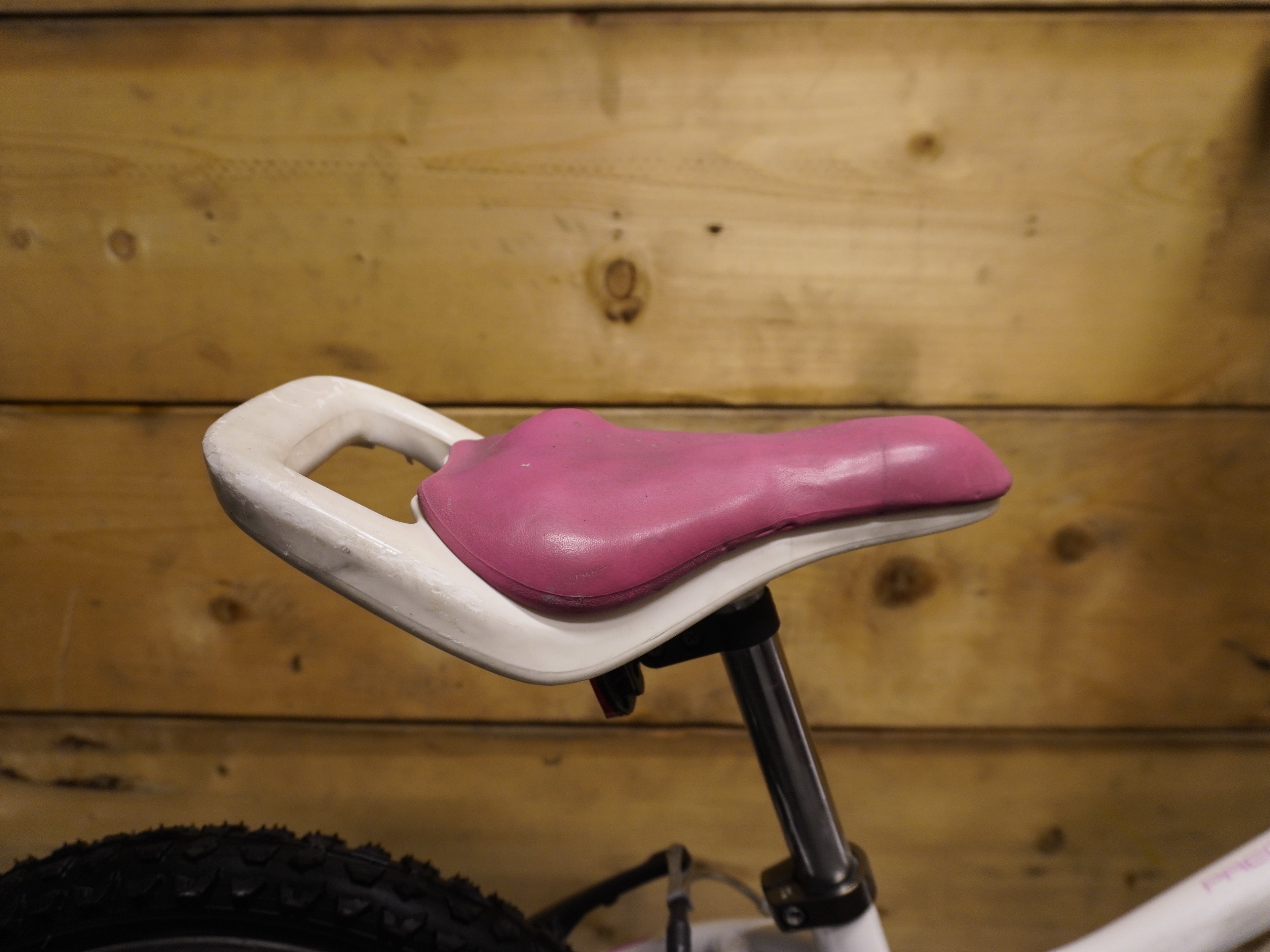 RENT Trek Precaliber Kids Bike