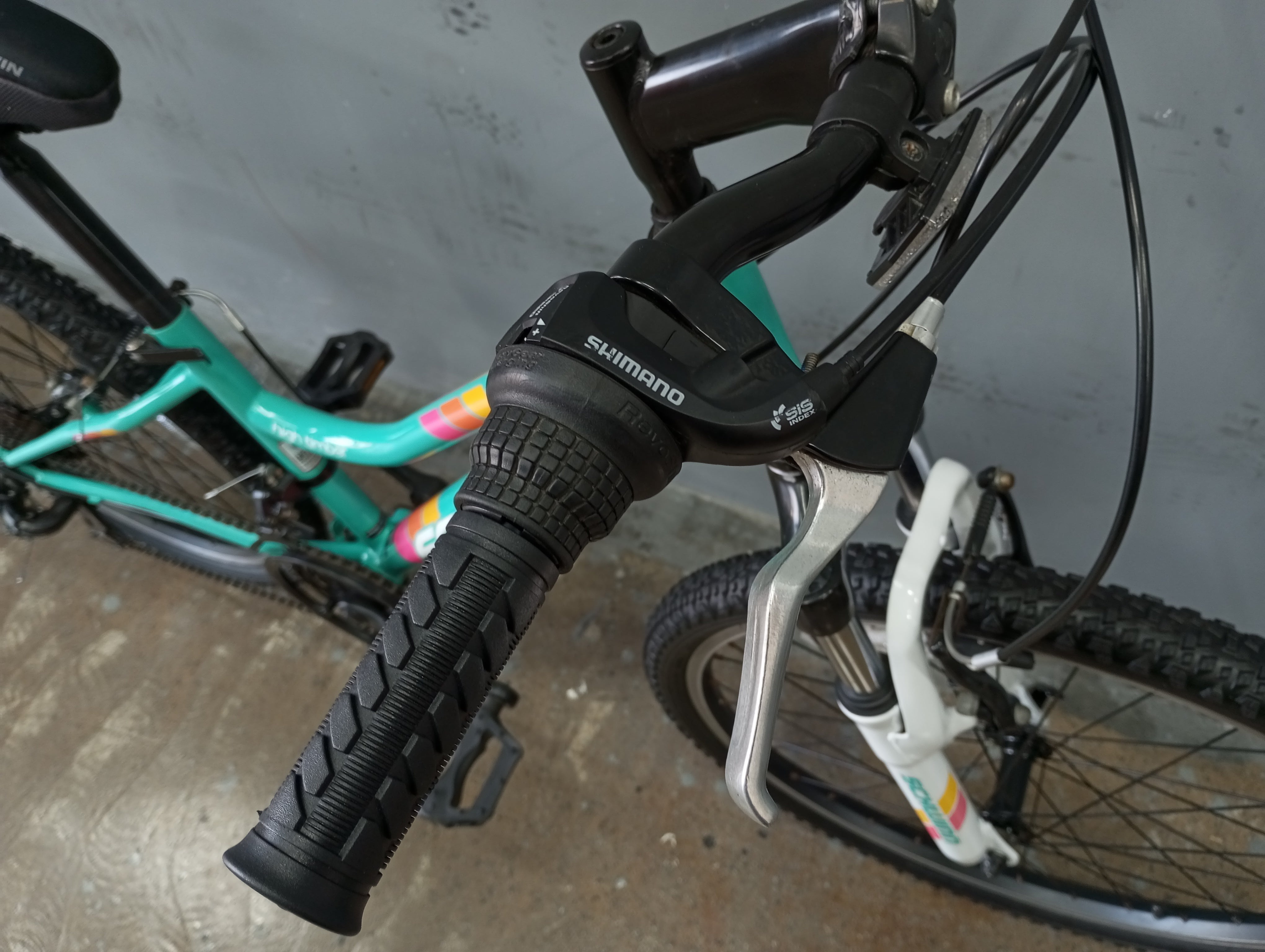 Schwinn High Timber Kids Bike