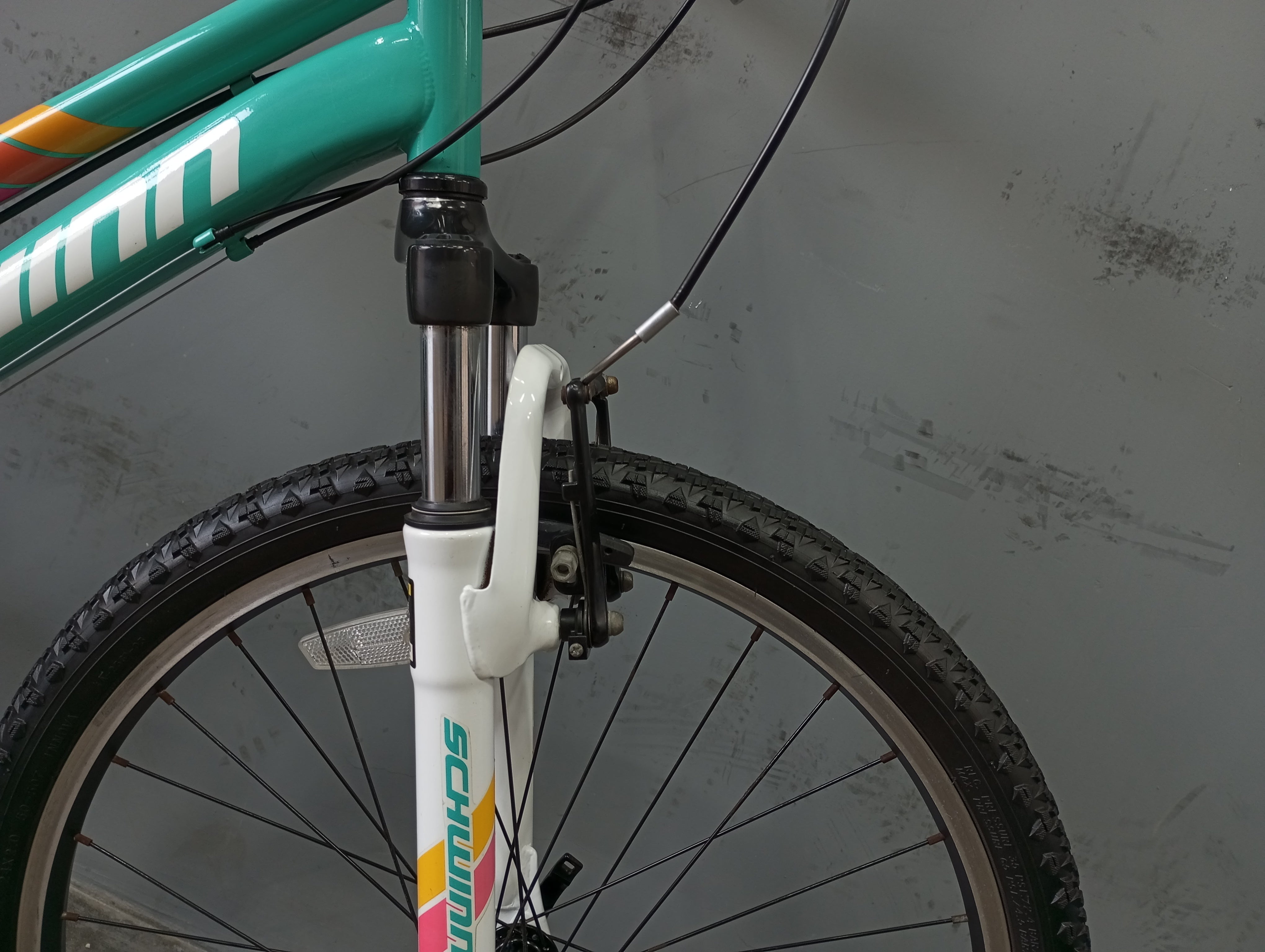 Schwinn High Timber Kids Bike