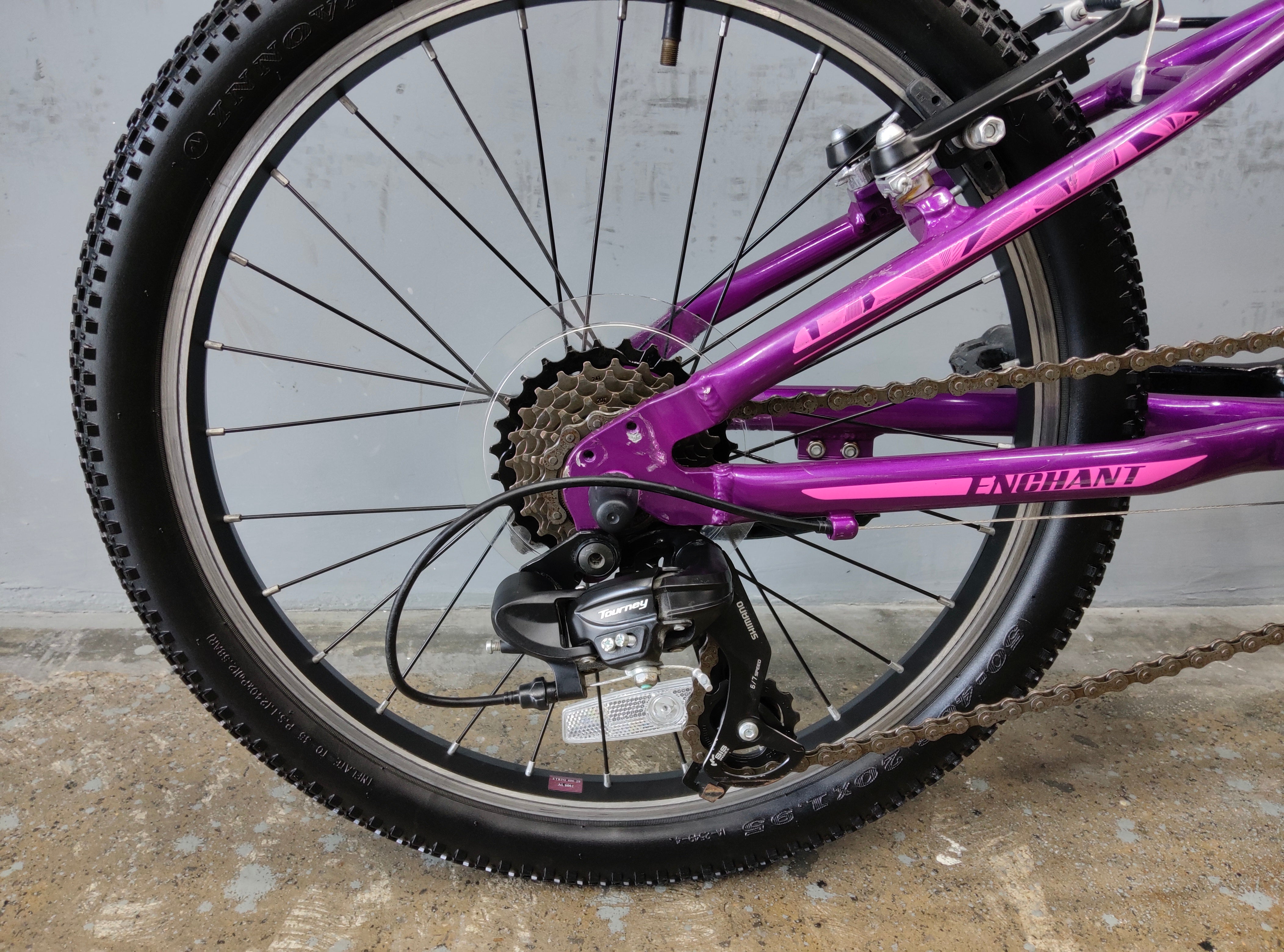 Giant Liv Enchant Kids Bike