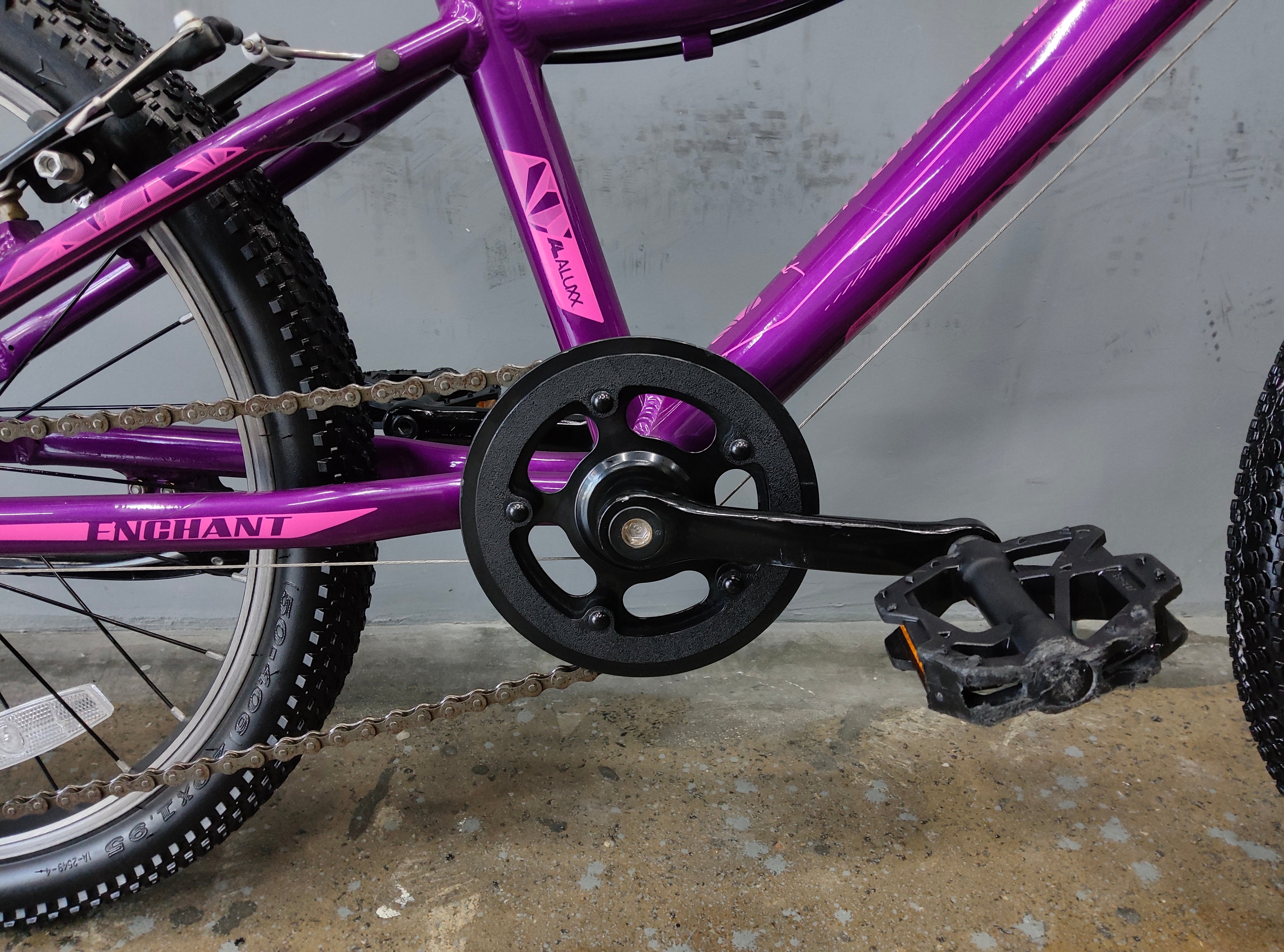 Giant Liv Enchant Kids Bike