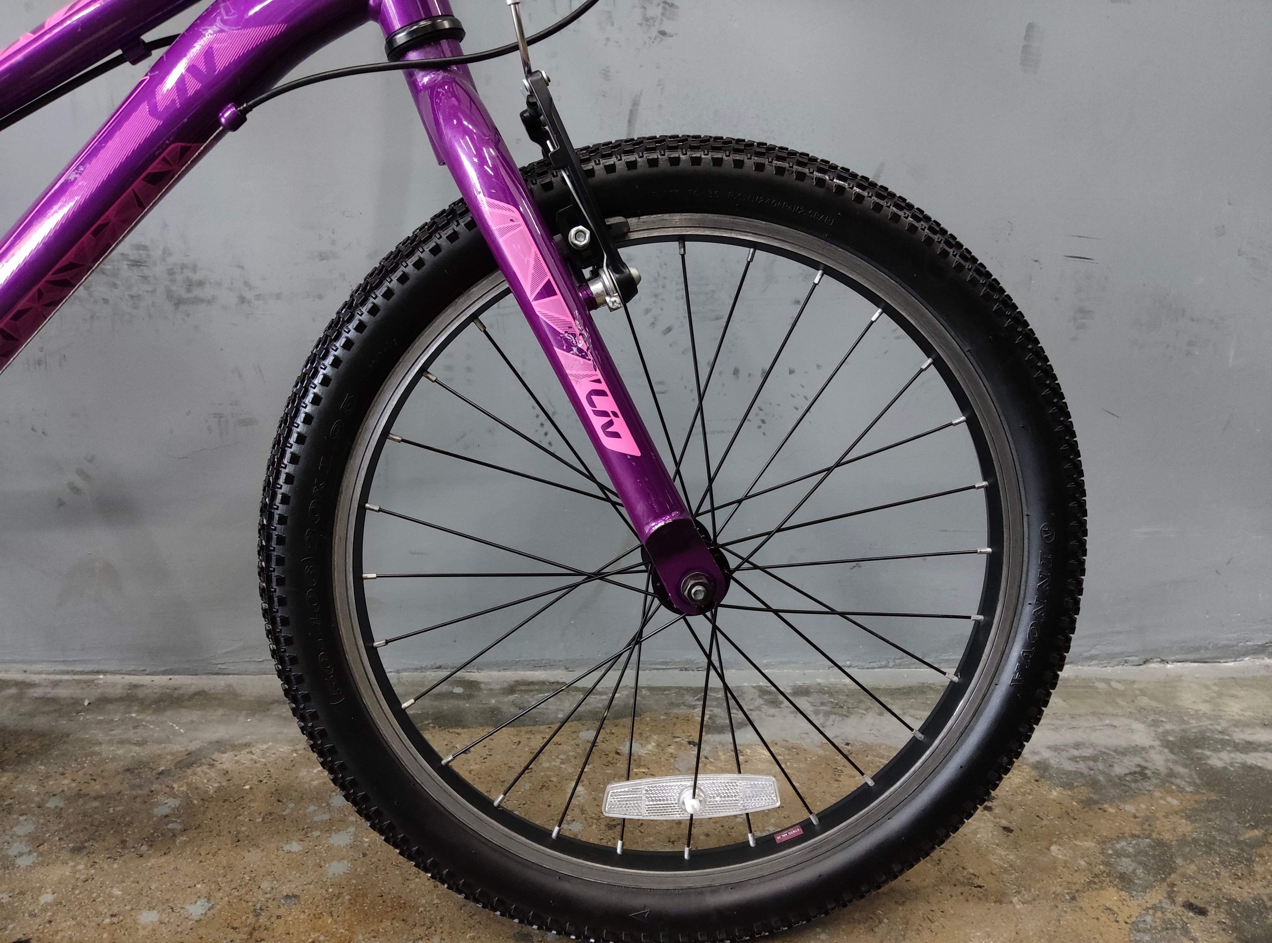 Giant Liv Enchant Kids Bike