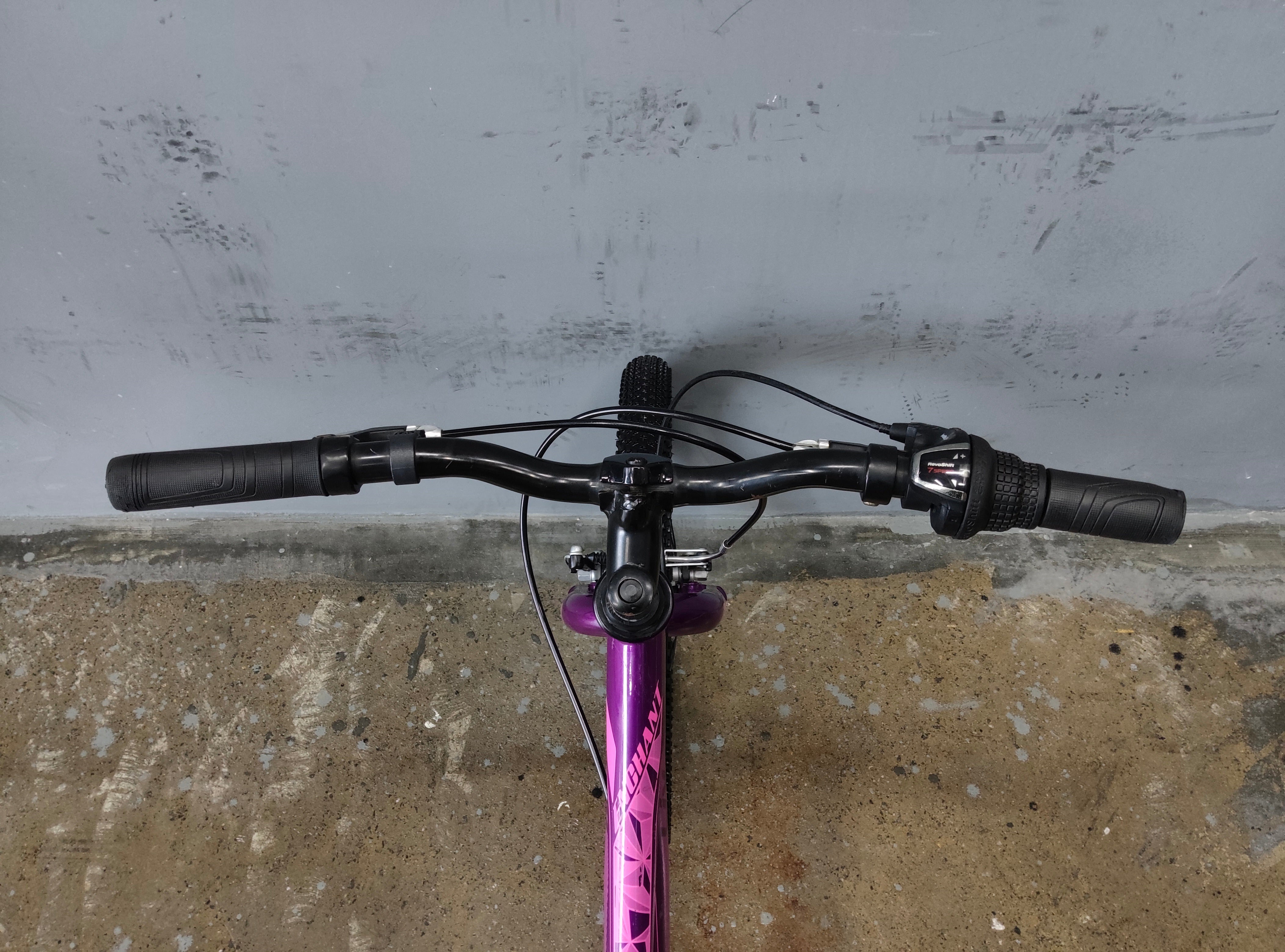 Giant Liv Enchant Kids Bike