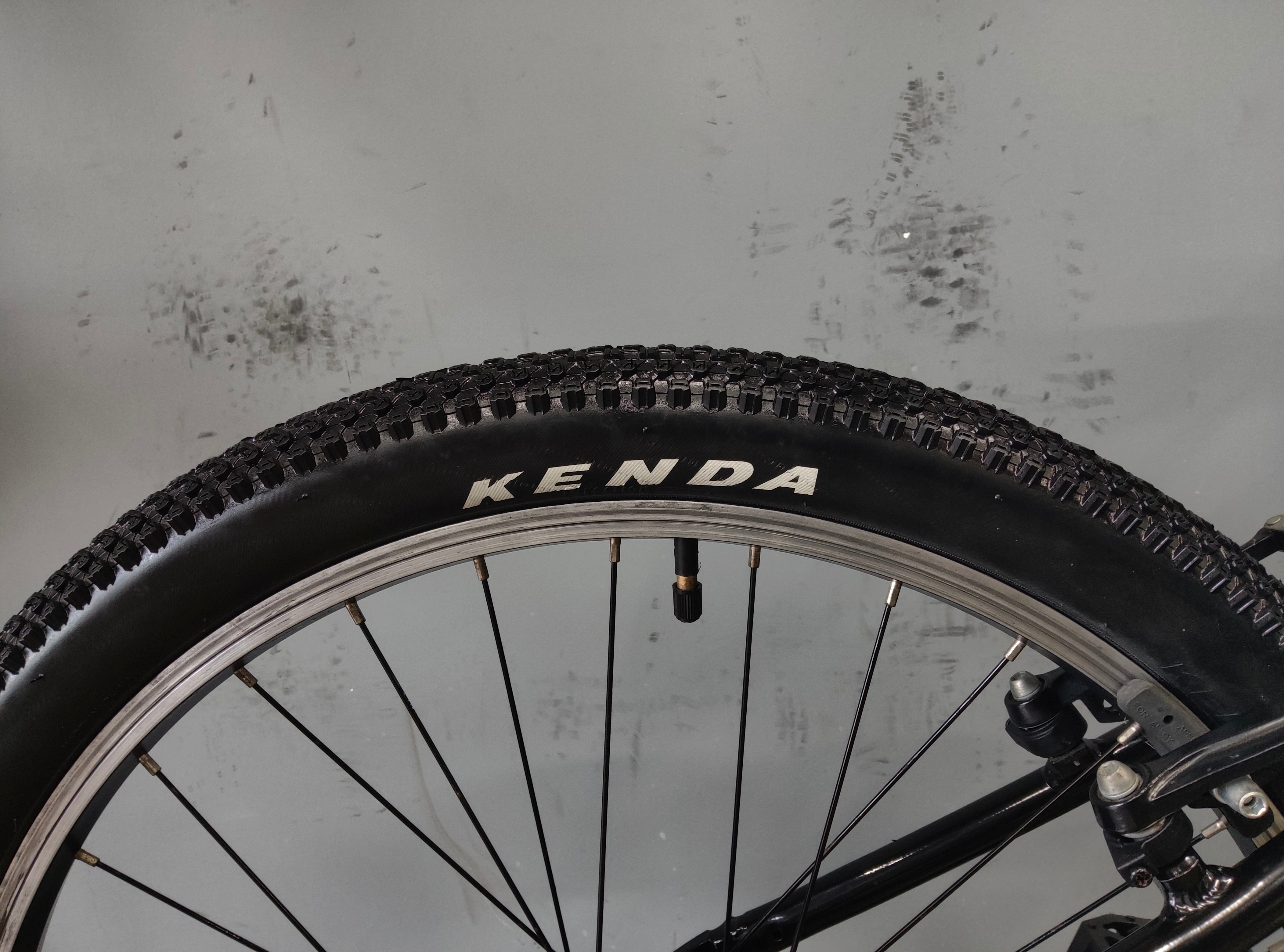 Fuji Dynamite Kids Bike