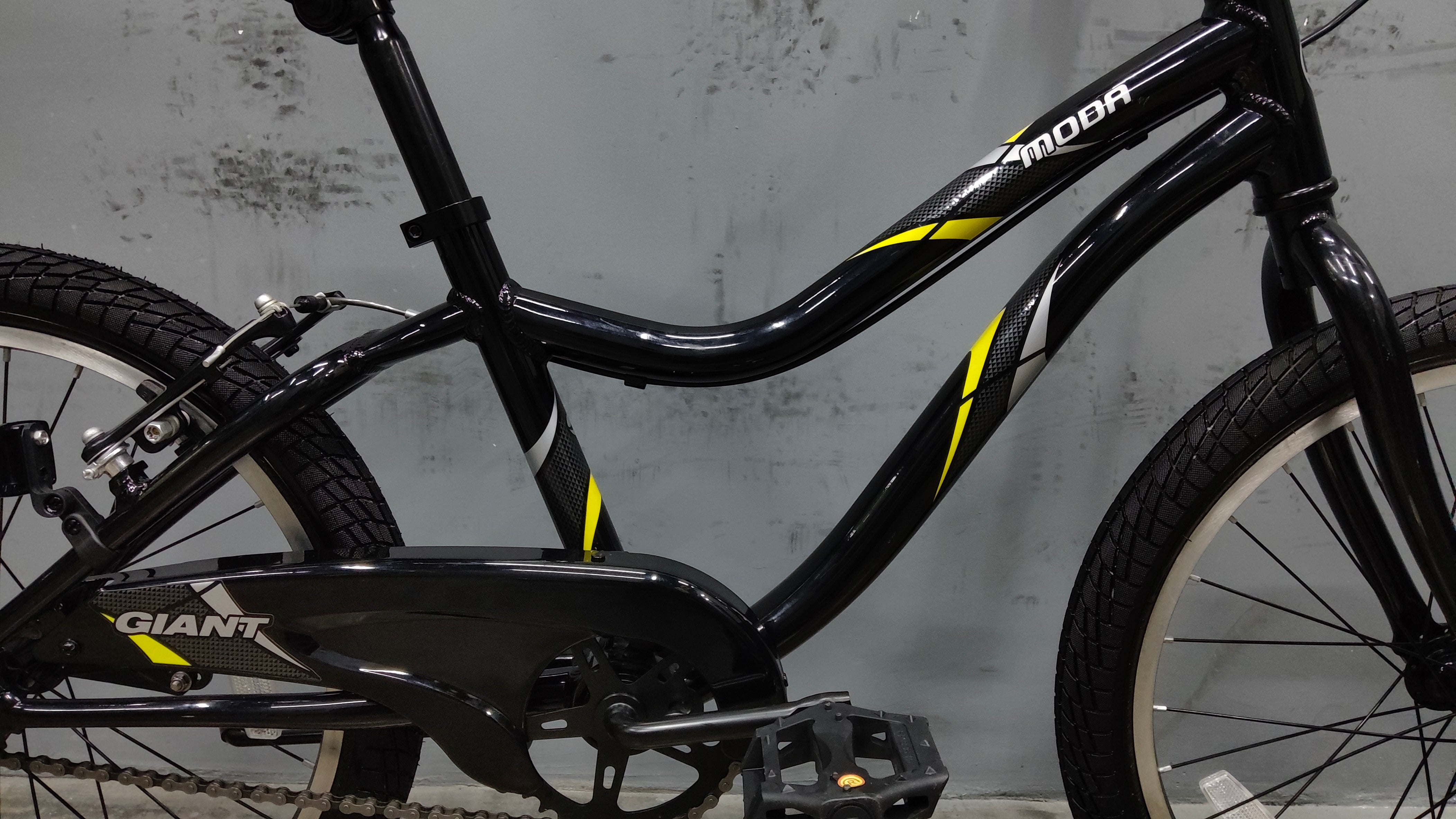 Giant Moda Kids Bike