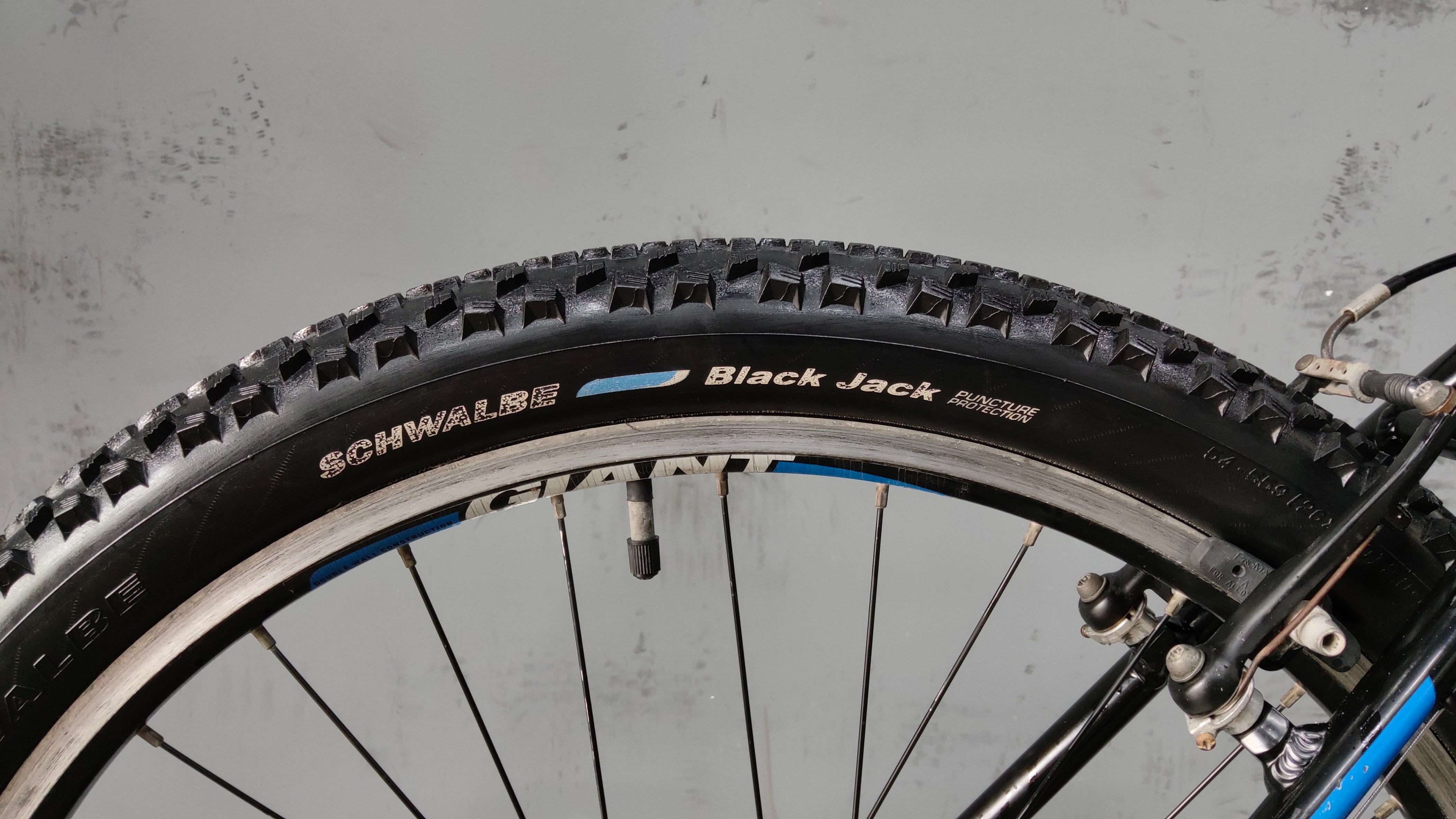 Giant Revel 2 Mountain Bike
