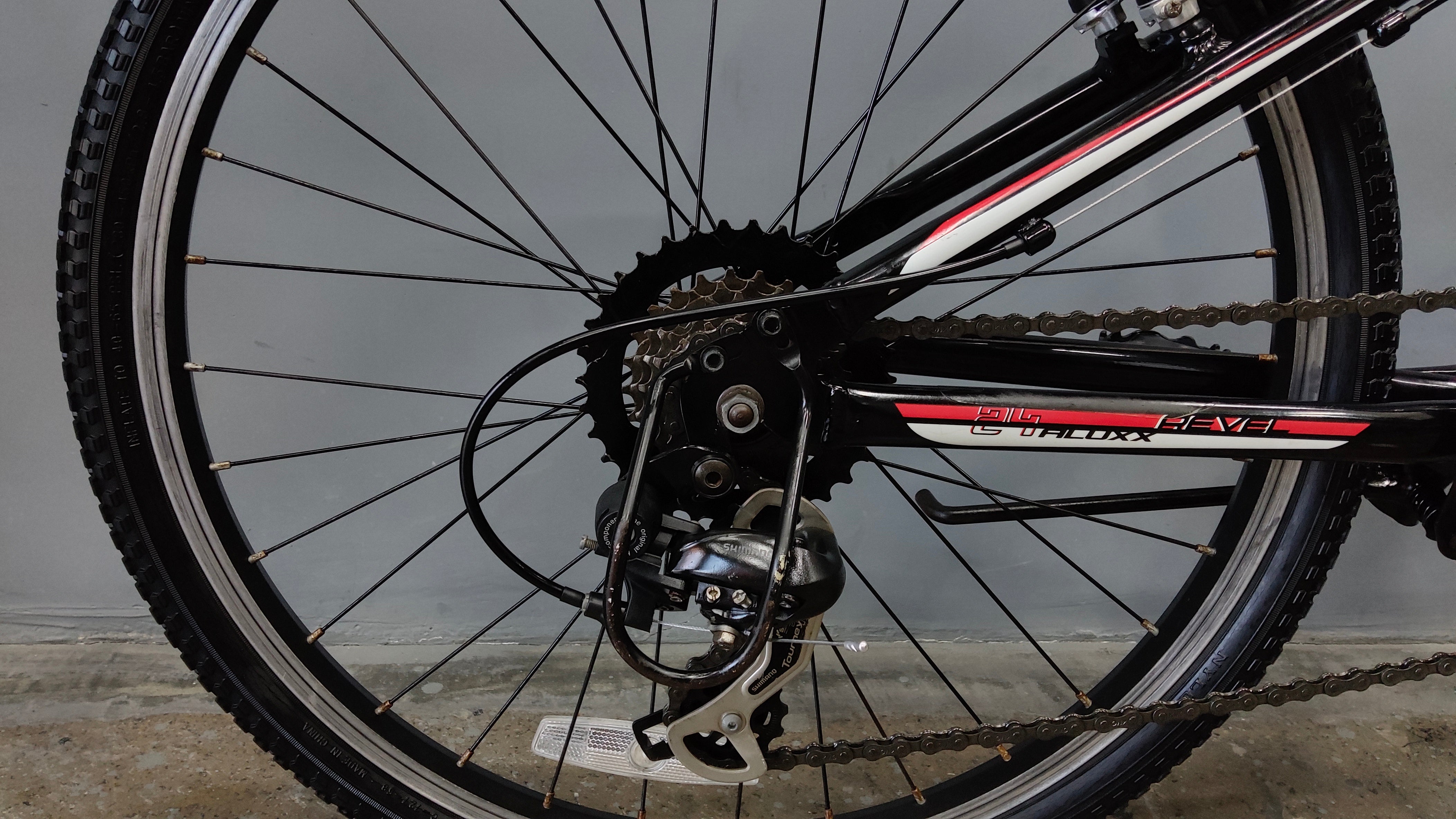 Giant Revel Kids Bike