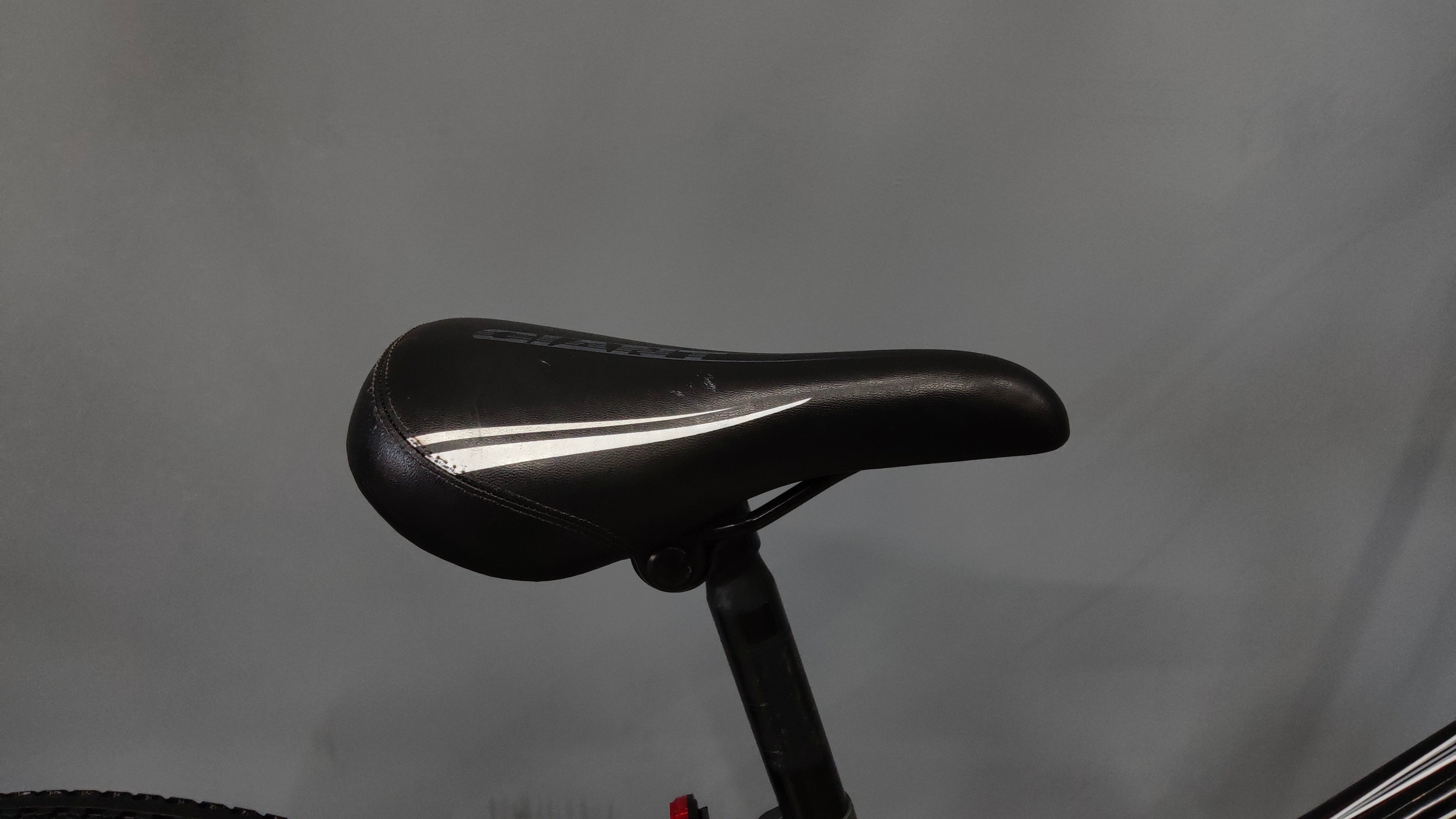 Giant Revel Kids Bike