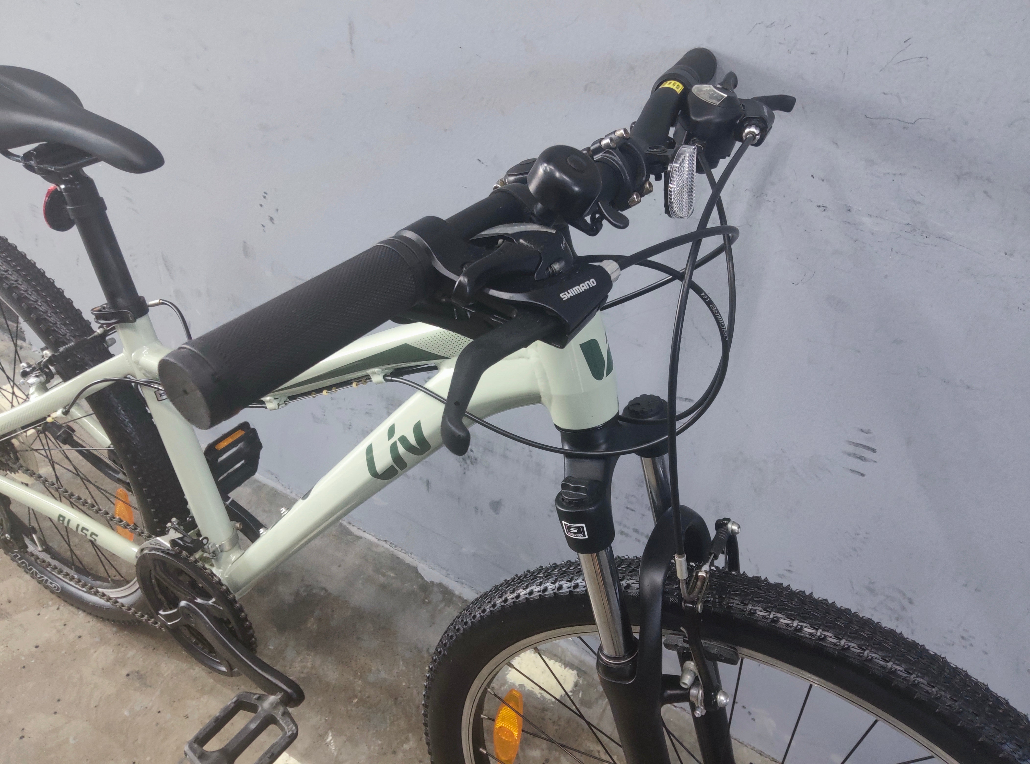 Liv Bliss Mountain Bike