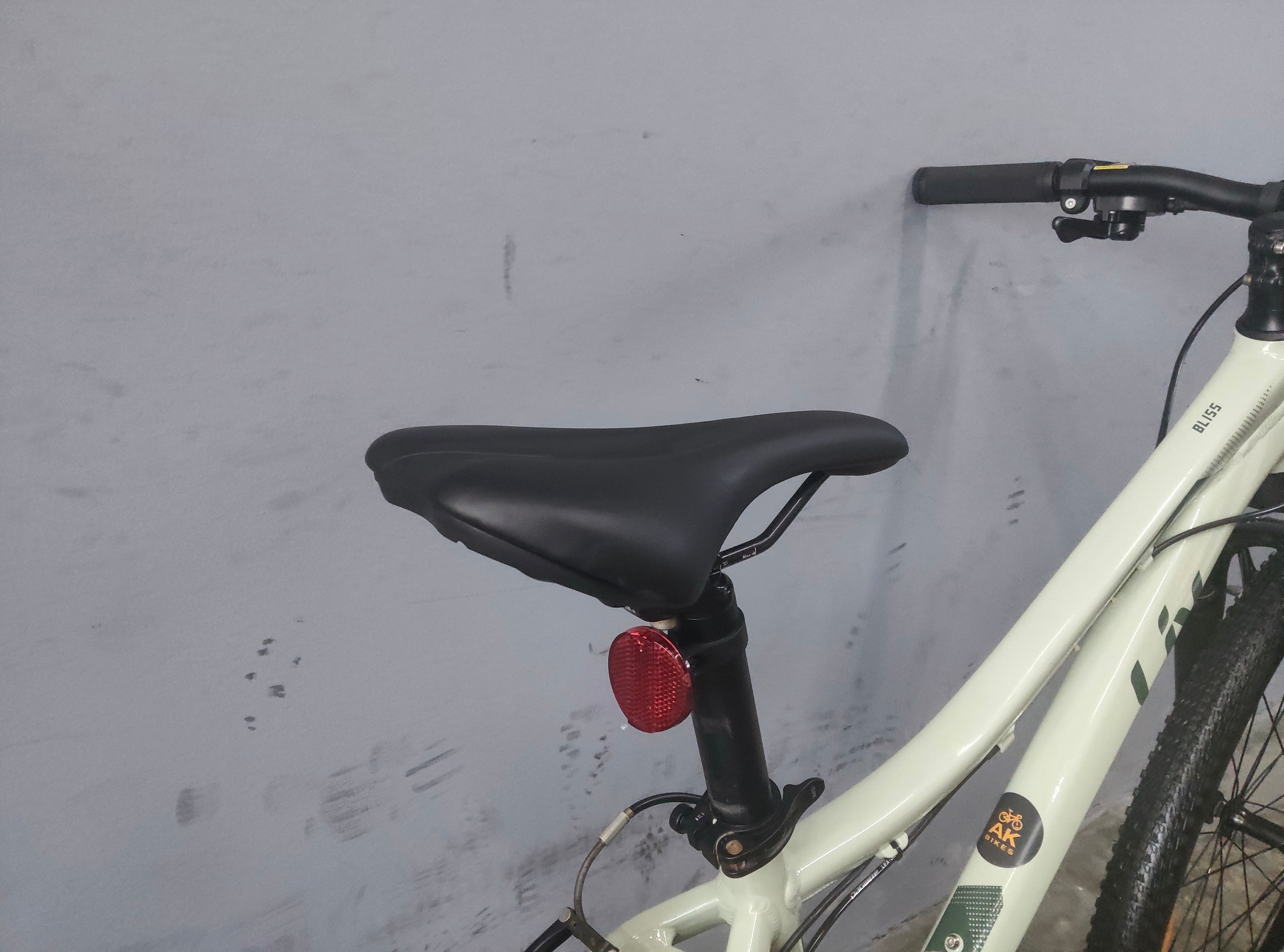 Liv Bliss Mountain Bike