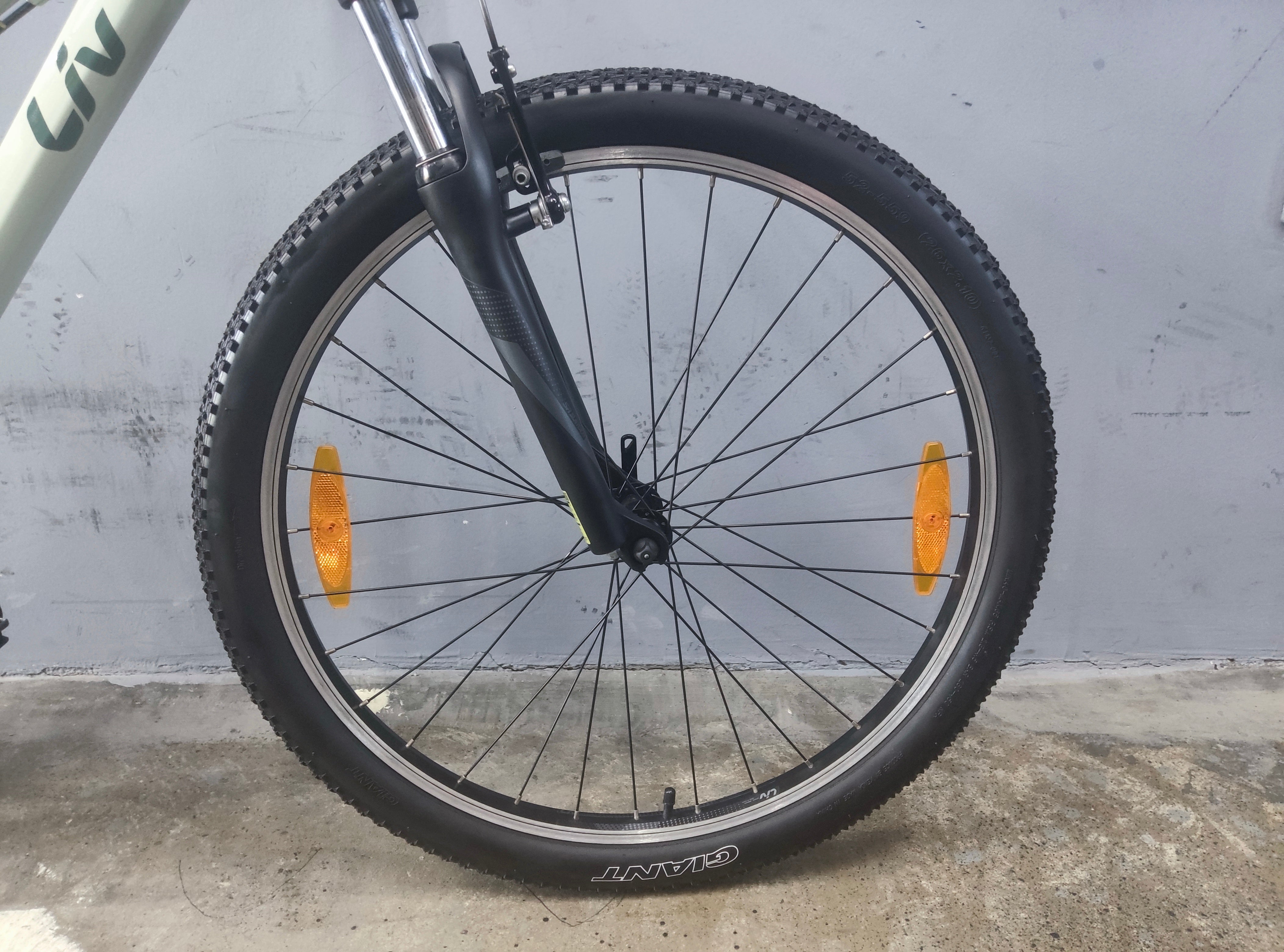 Liv Bliss Mountain Bike