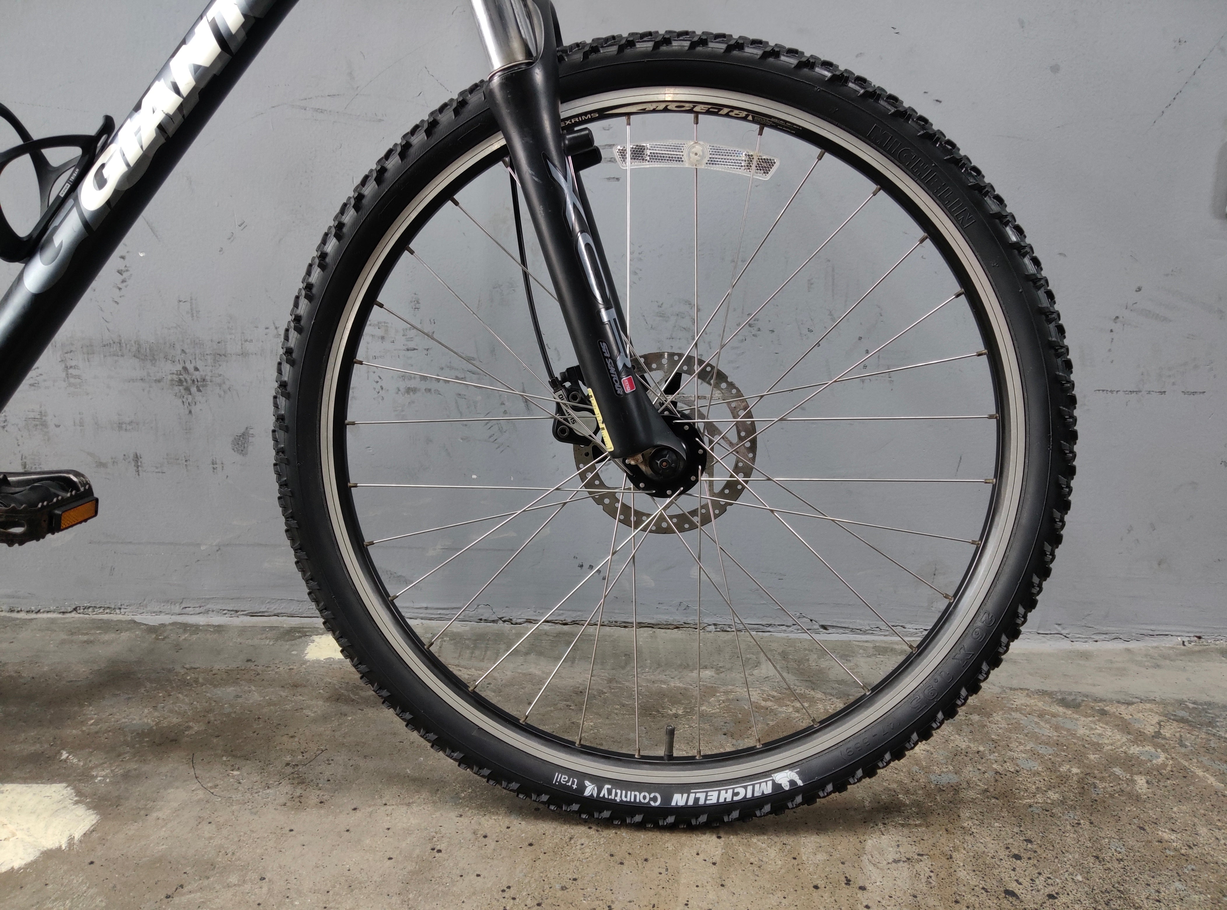 Giant Iguana Disc Mountain Bike