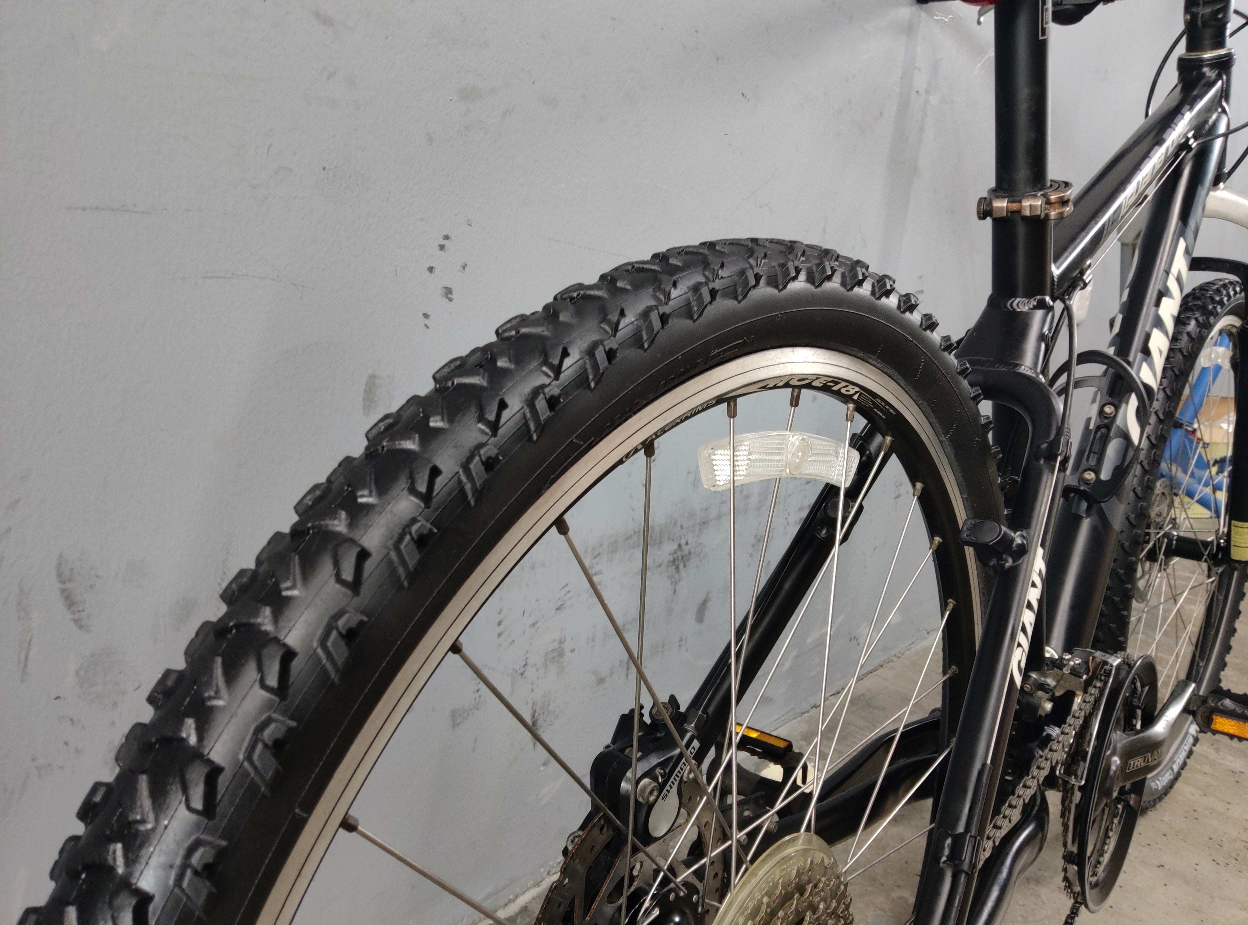 Giant Iguana Disc Mountain Bike