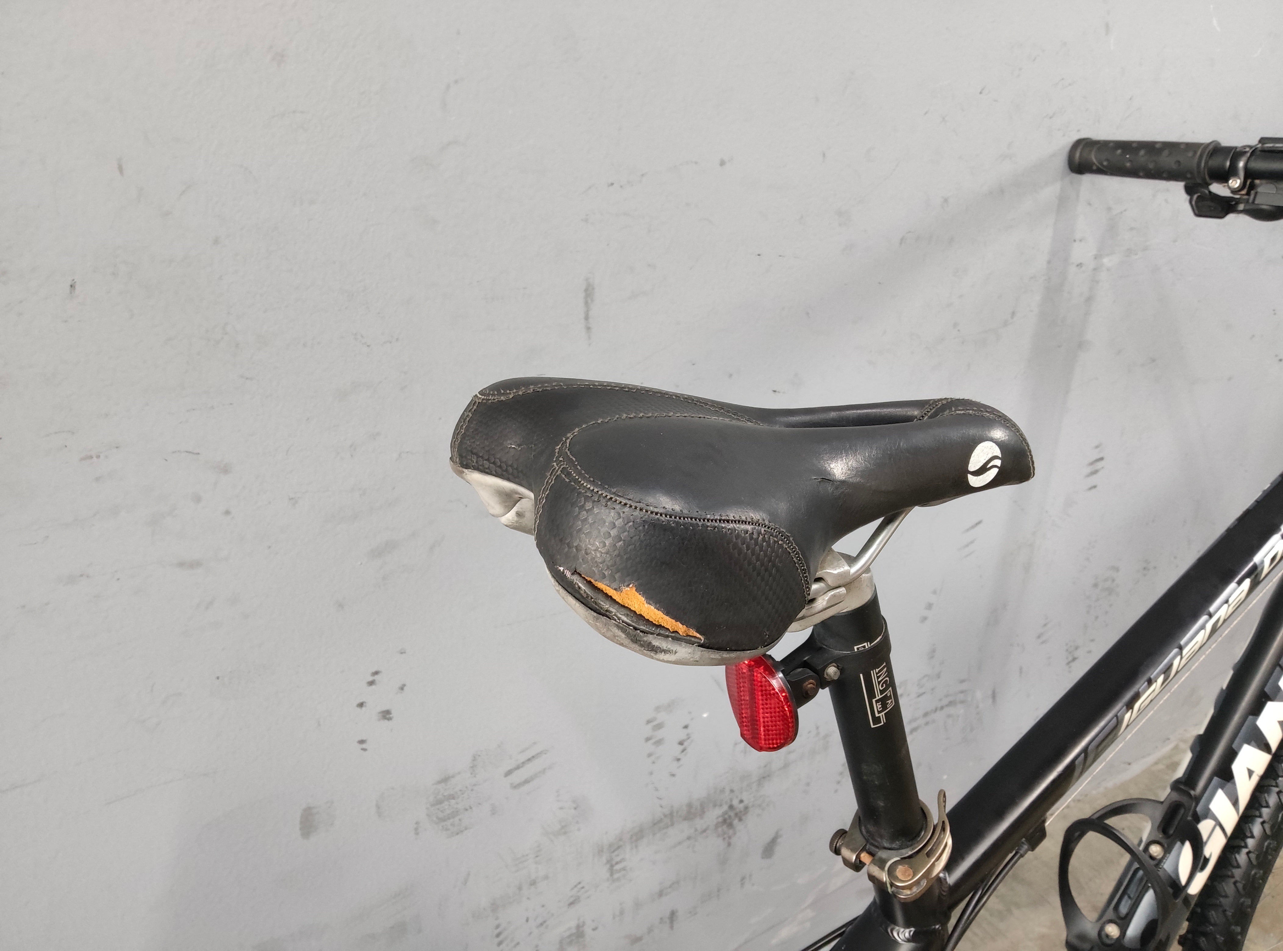 Giant Iguana Disc Mountain Bike