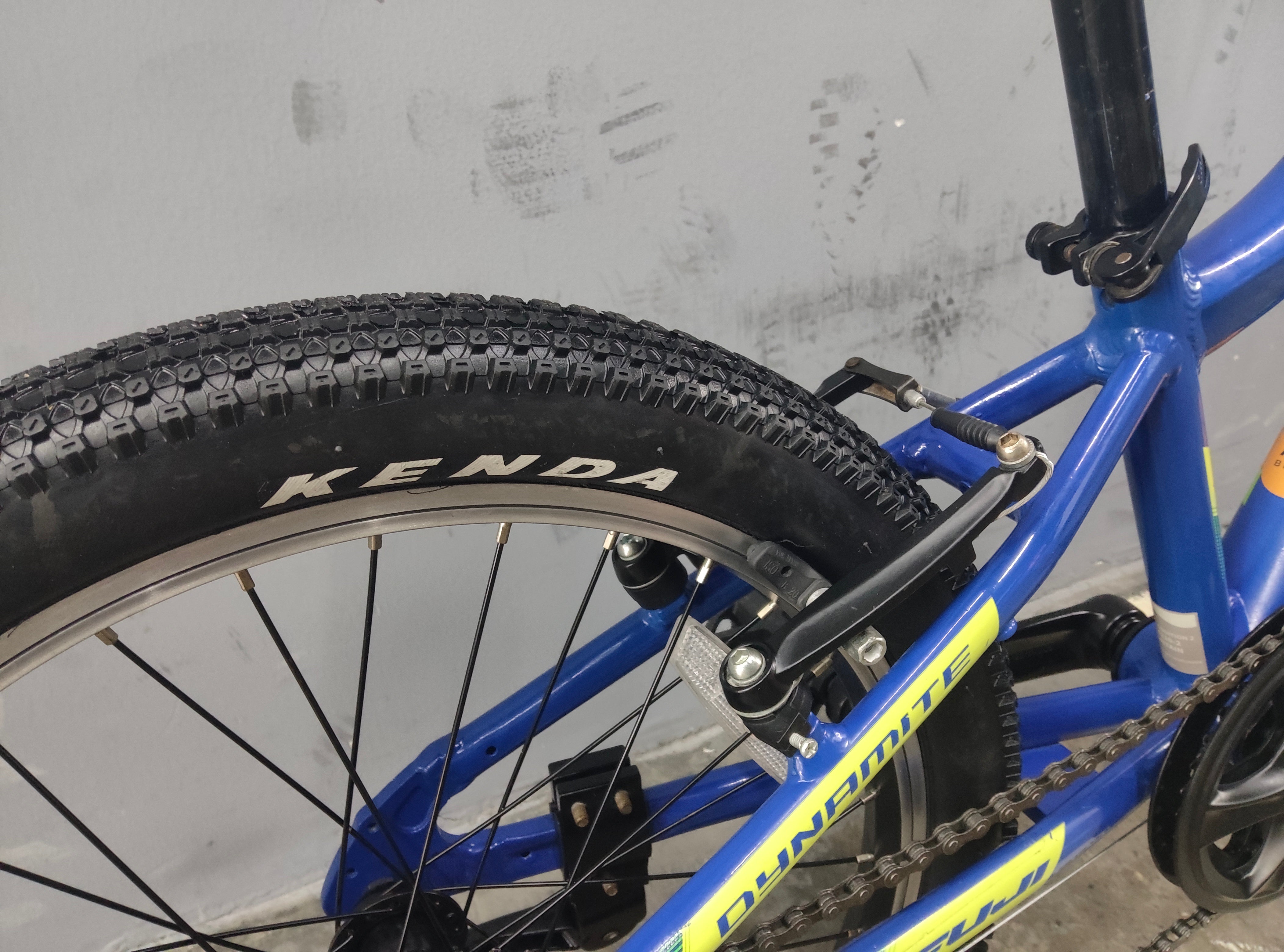 Fuji Dynamite Kids Bike