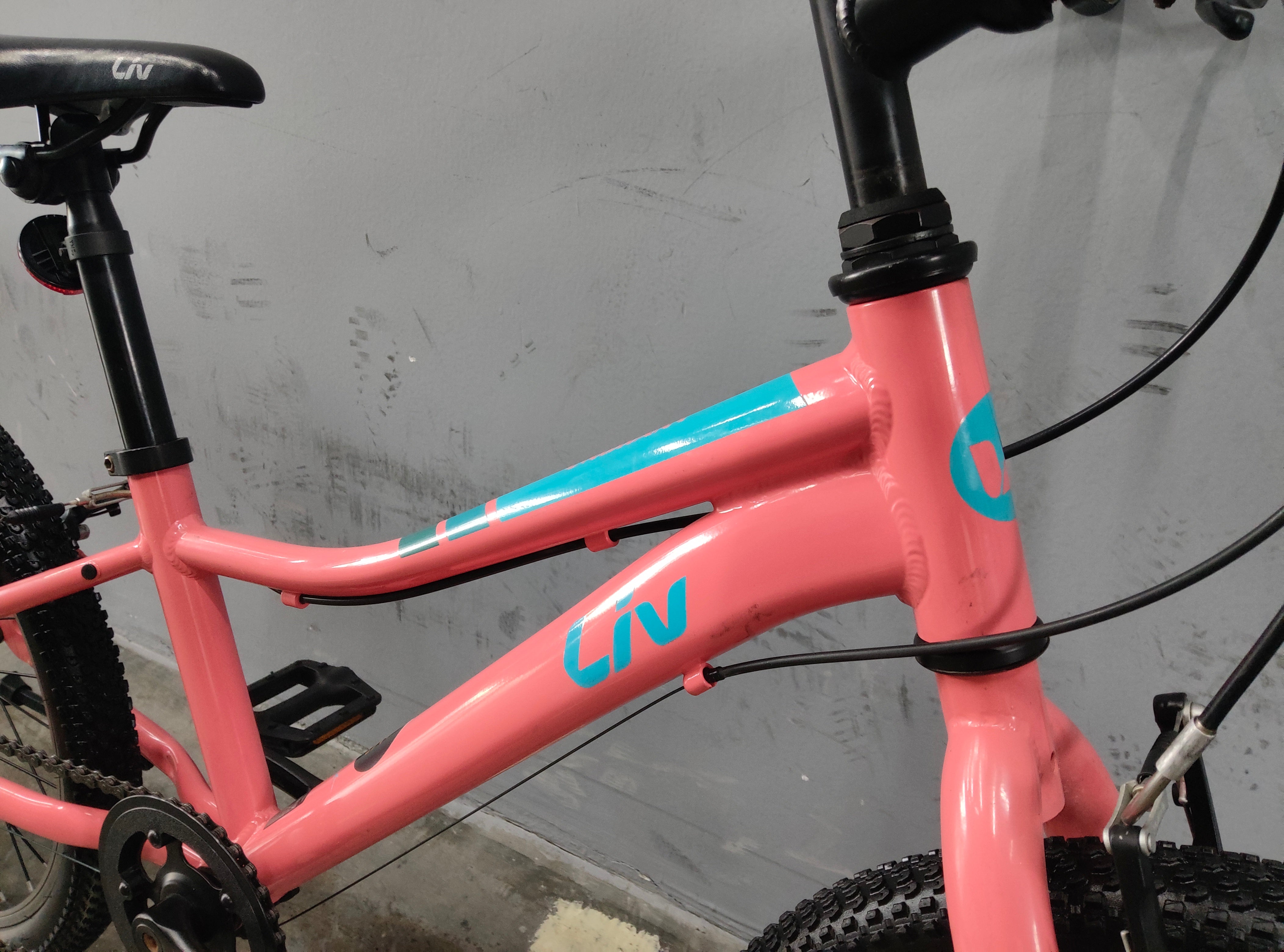 Liv Enchant Kids Bike