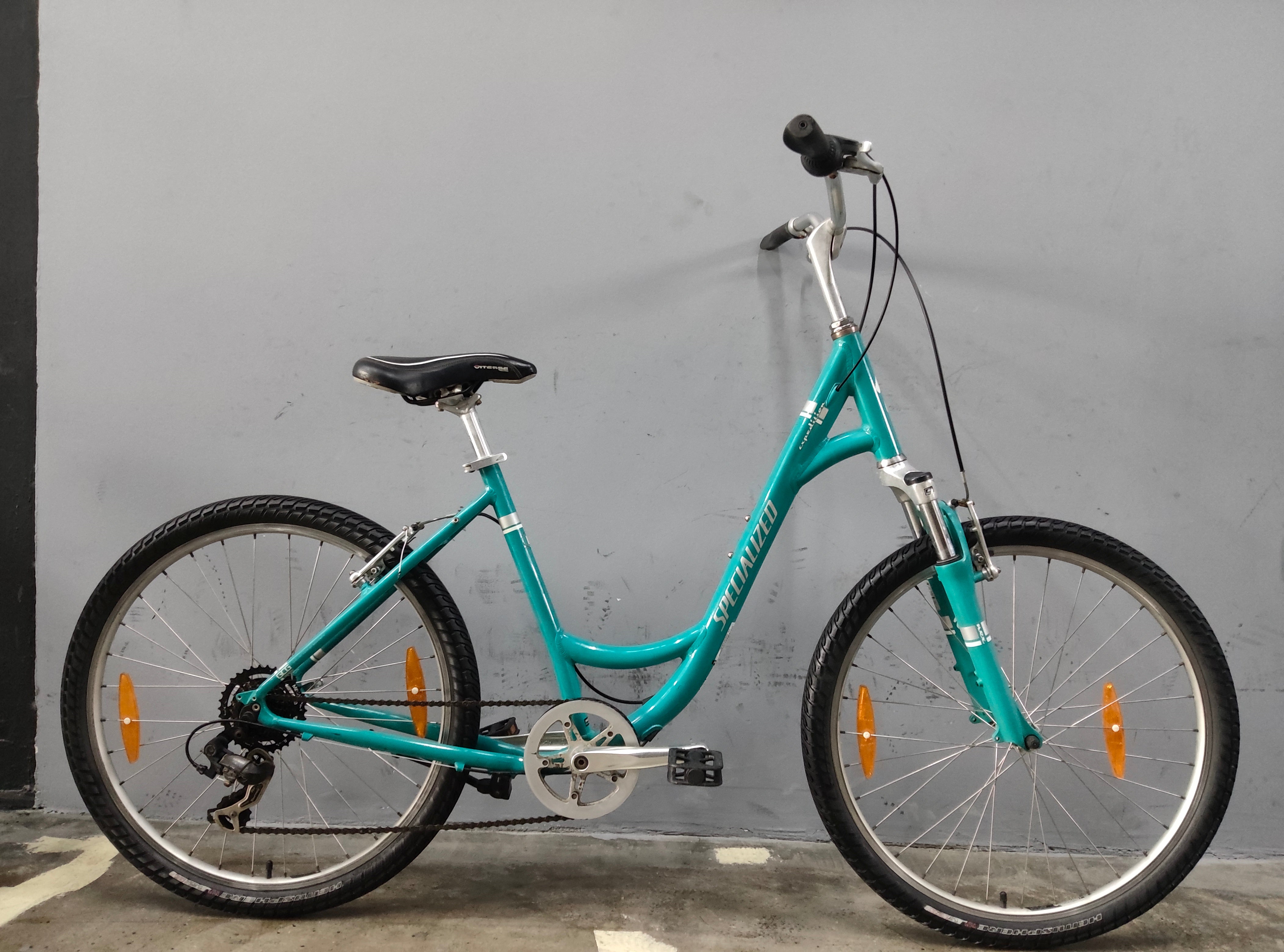 Specialized Expedition Mountain Bike