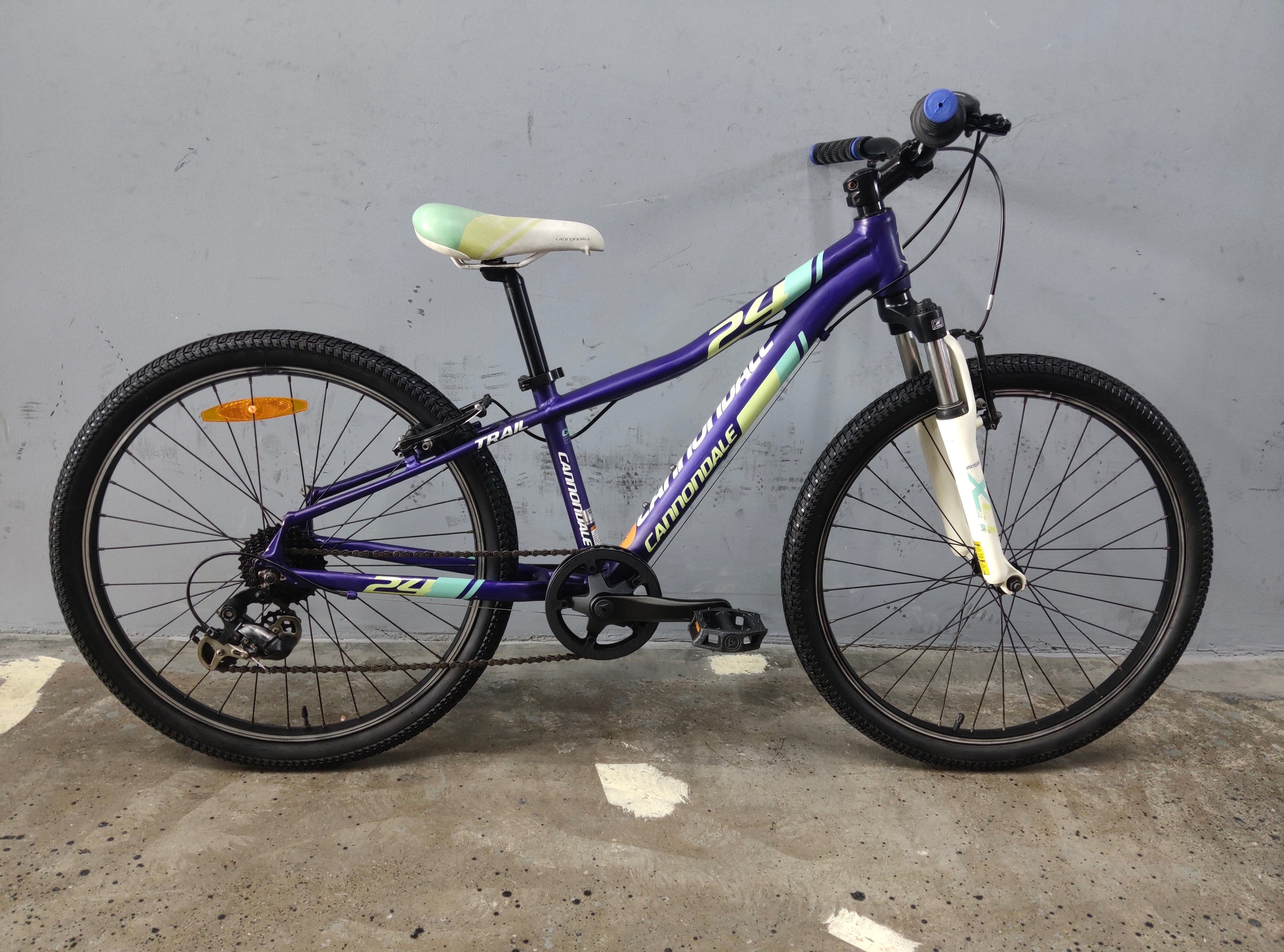 Cannondale Trail Kids Bike