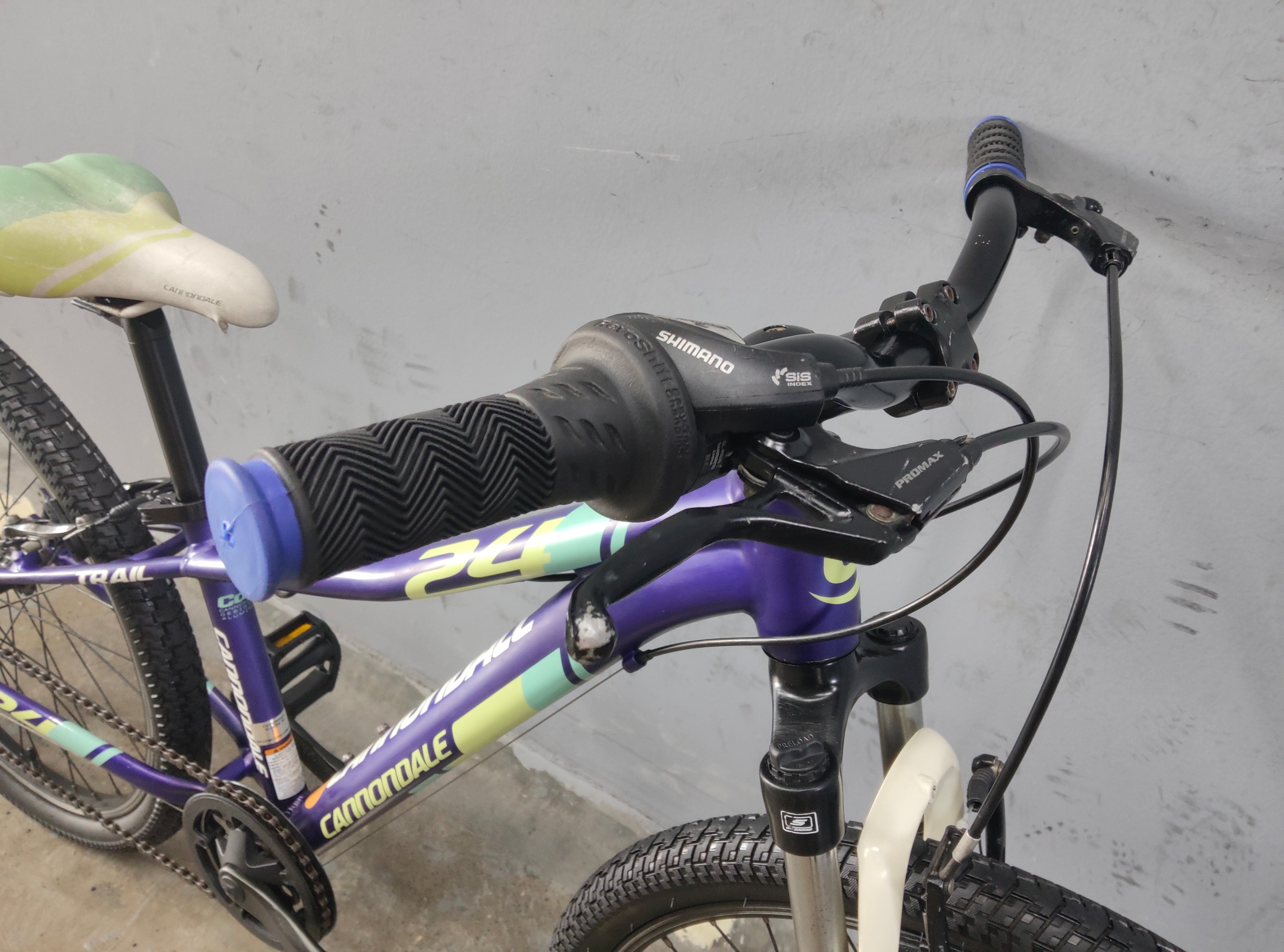 Cannondale Trail Kids Bike