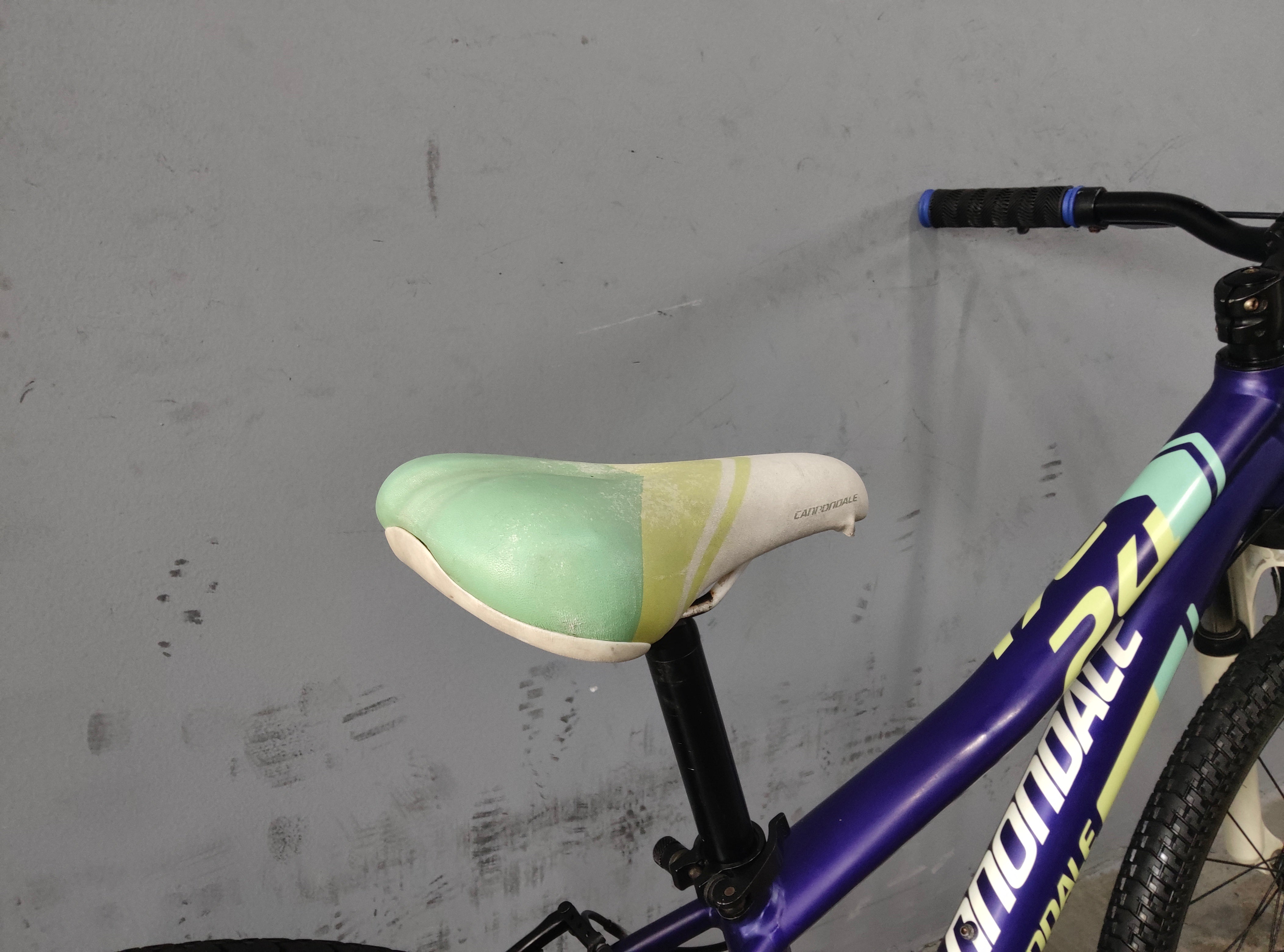 Cannondale Trail Kids Bike