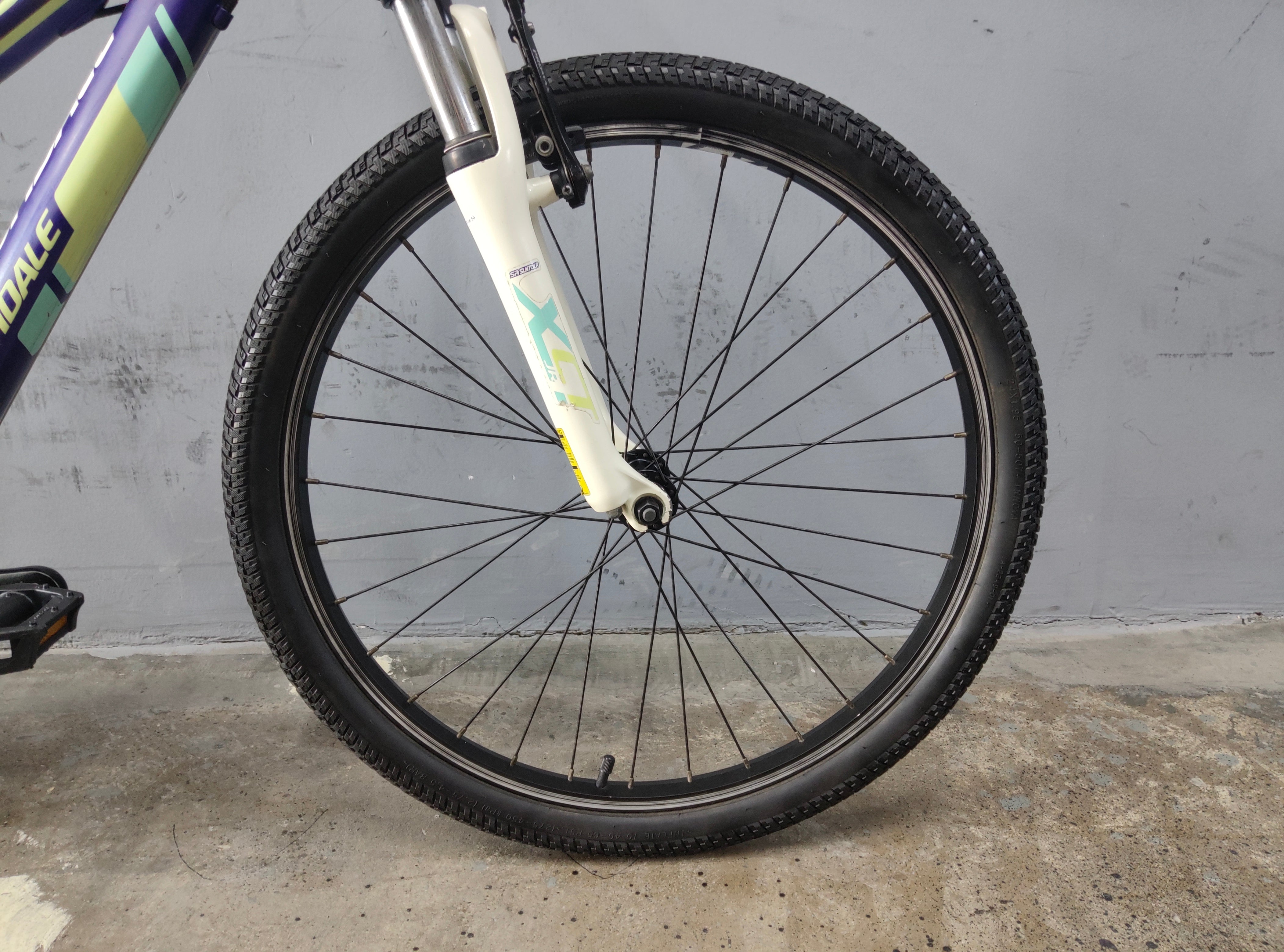 Cannondale Trail Kids Bike