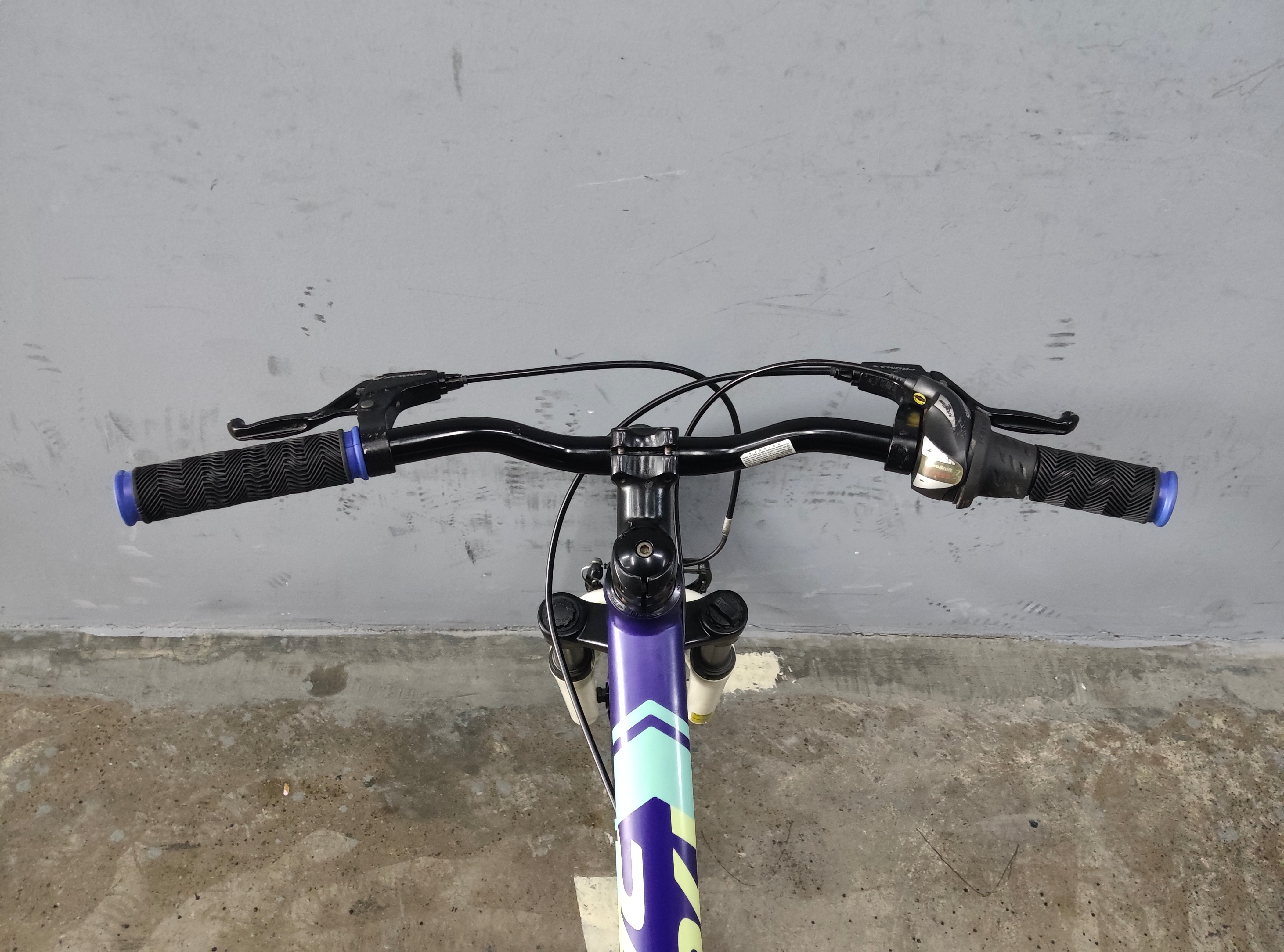 Cannondale Trail Kids Bike