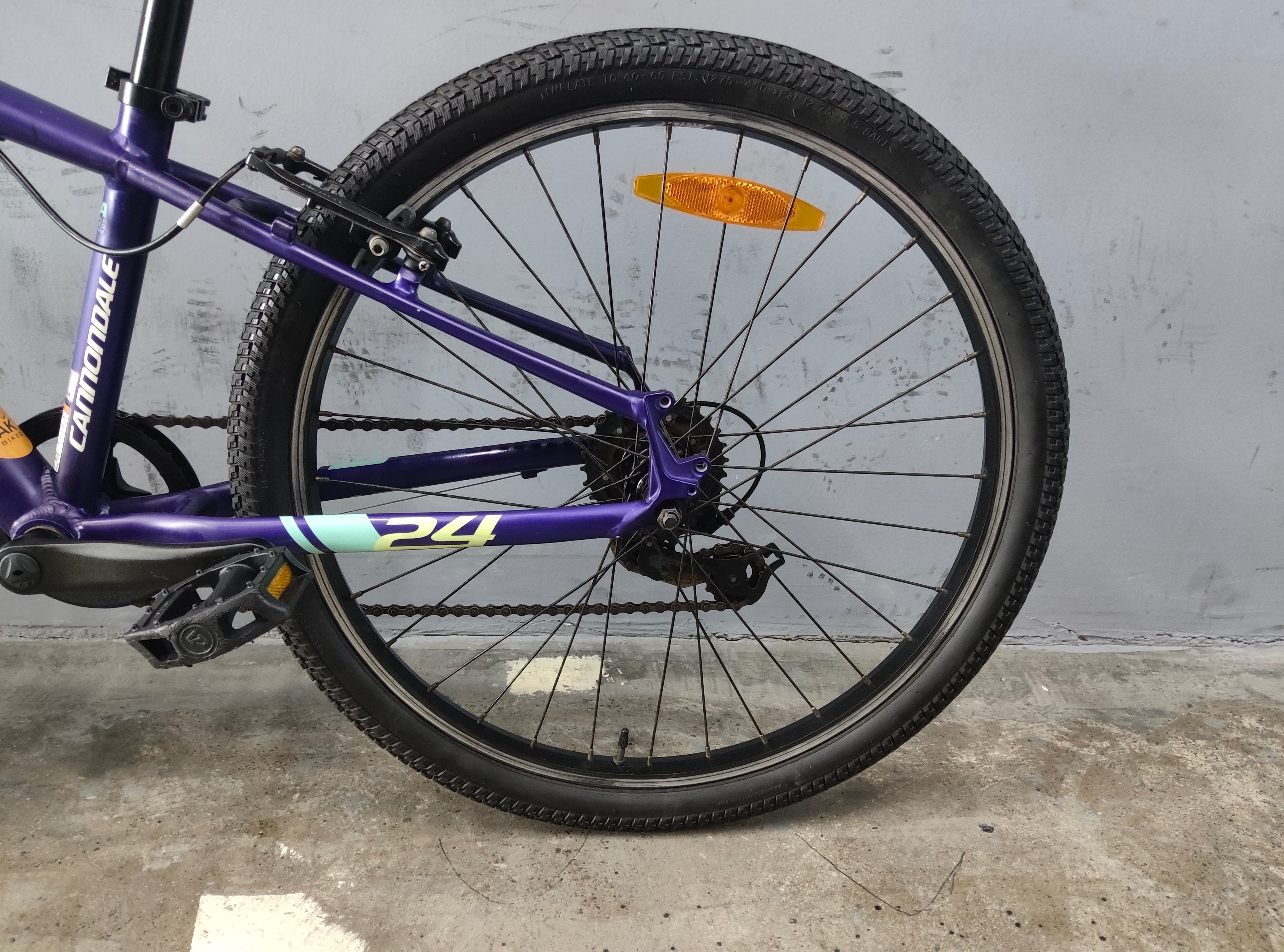 Cannondale Trail Kids Bike