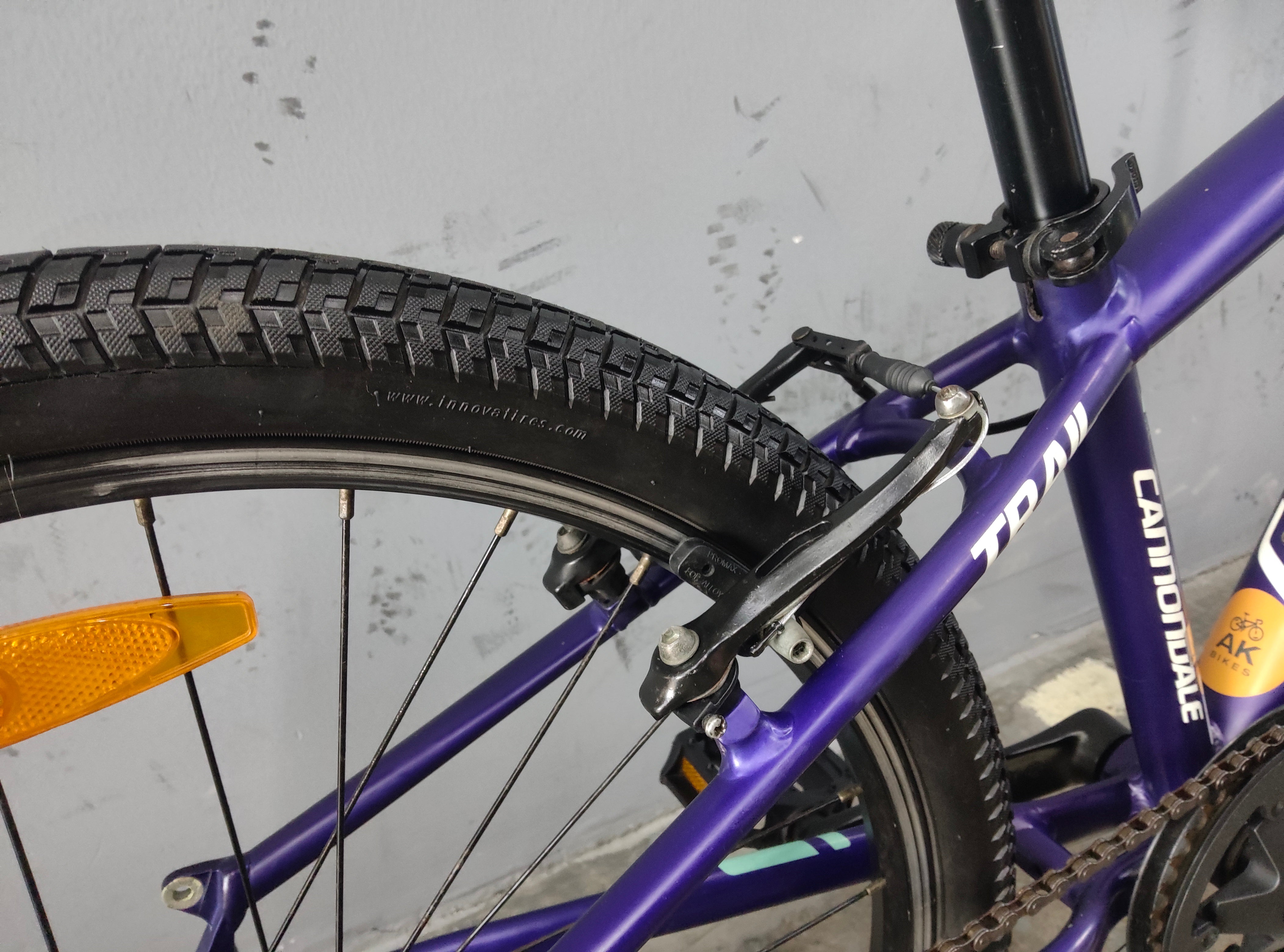 Cannondale Trail Kids Bike