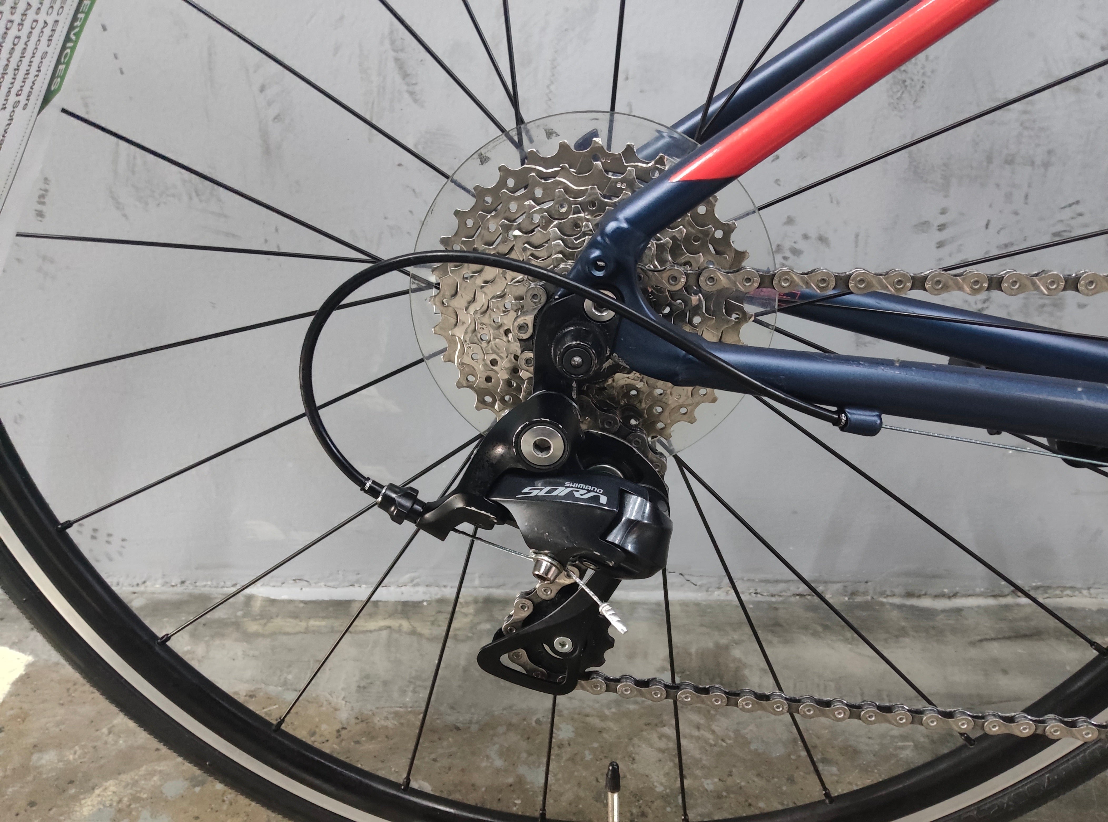 Specialized Allez Sport Road Bike