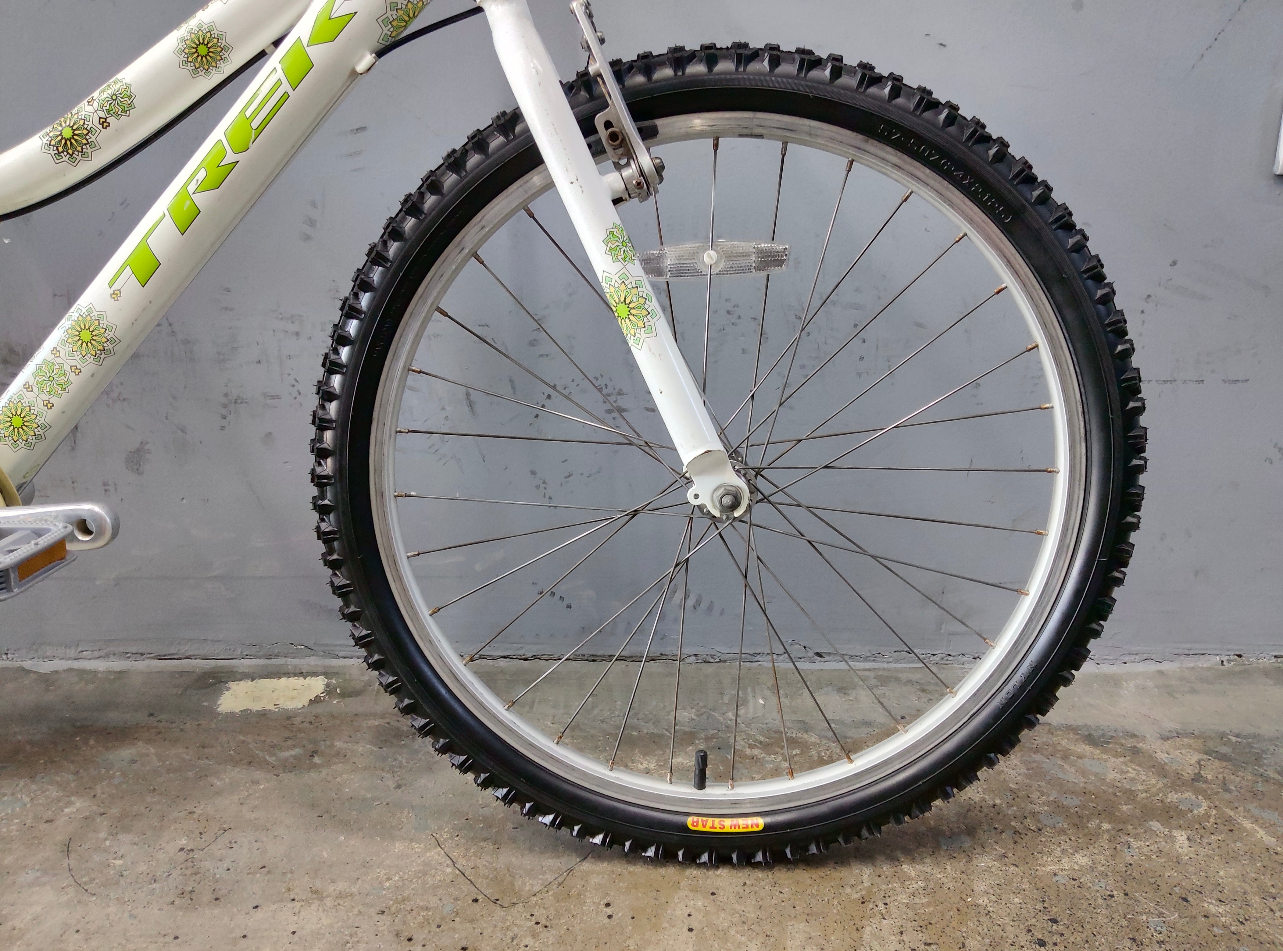 Trek MT200 Kids Bike