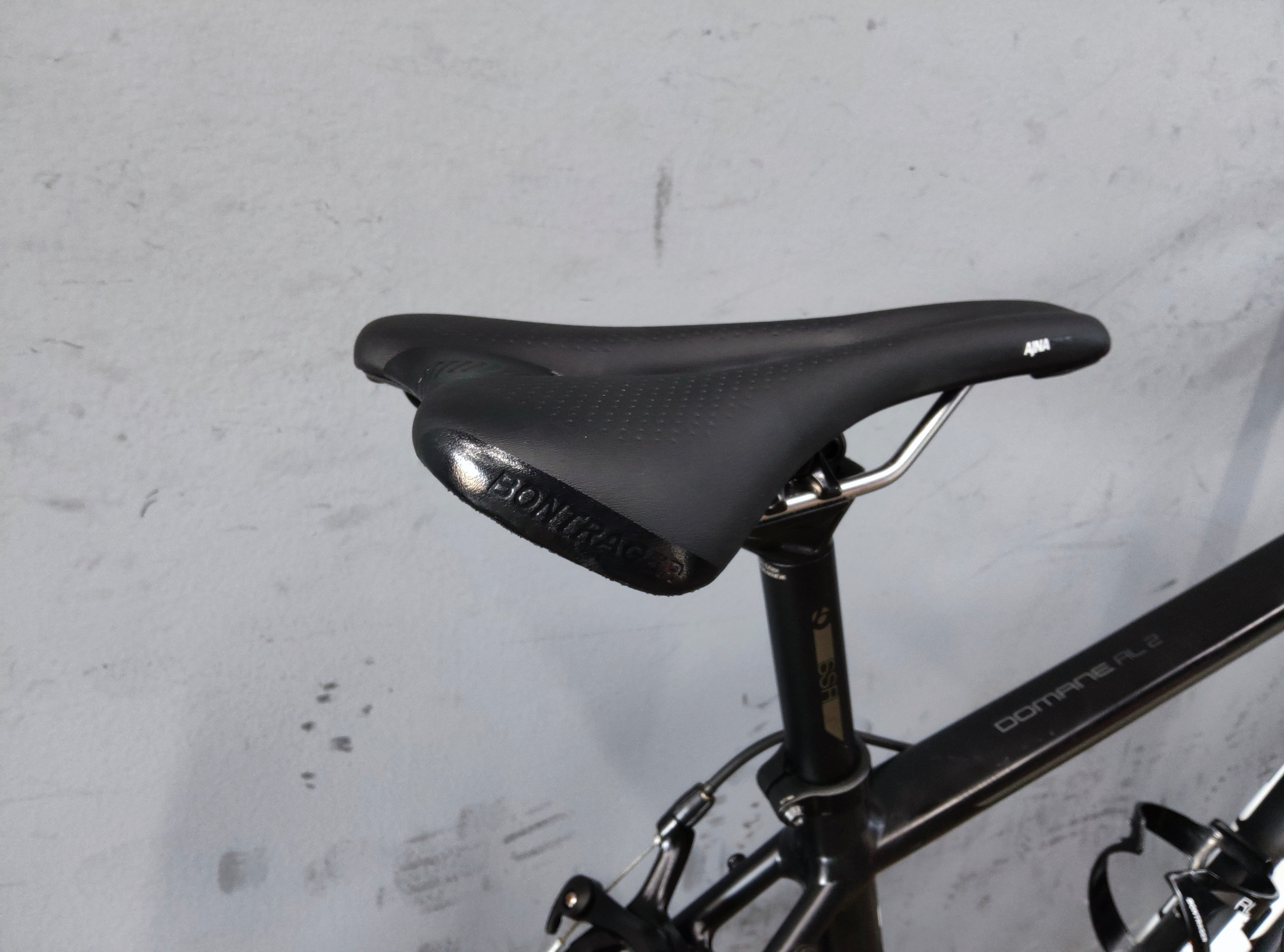 Trek Domane AL 2 Road Bike