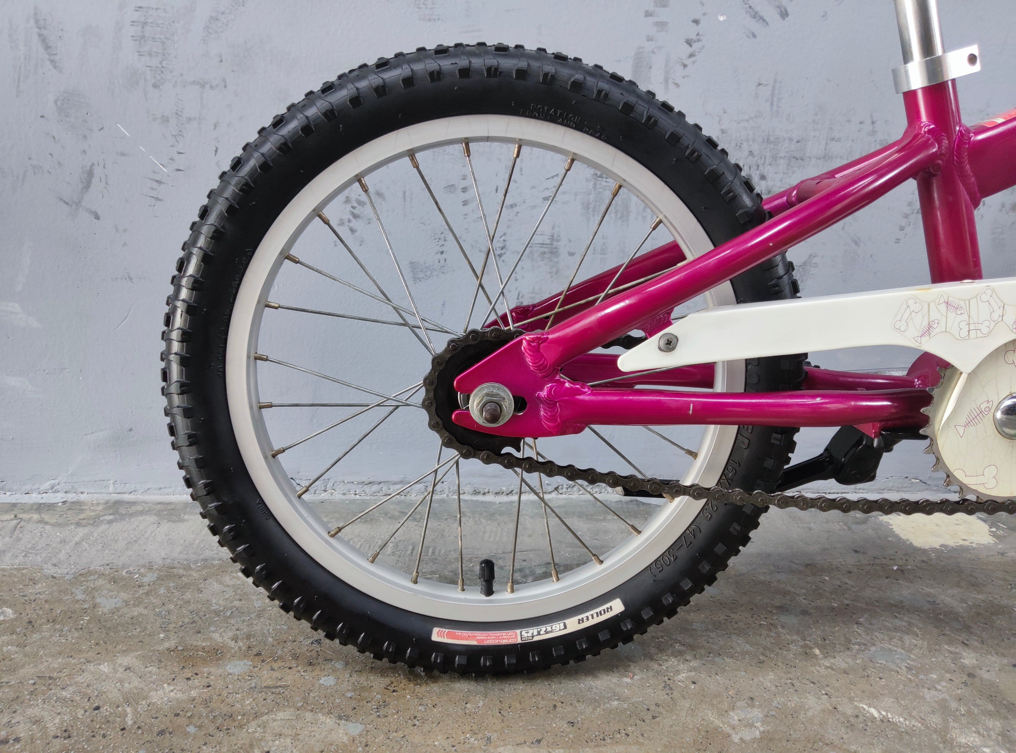 Specialized Hotrock Kids Bike