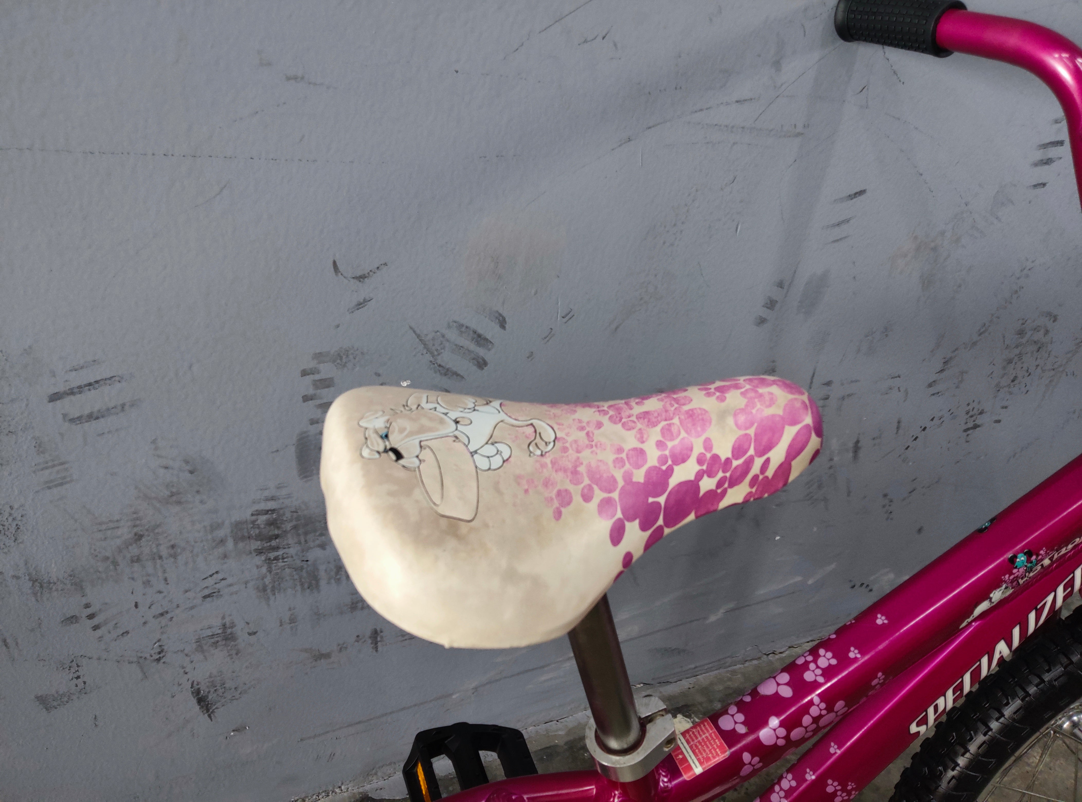 Specialized Hotrock Kids Bike