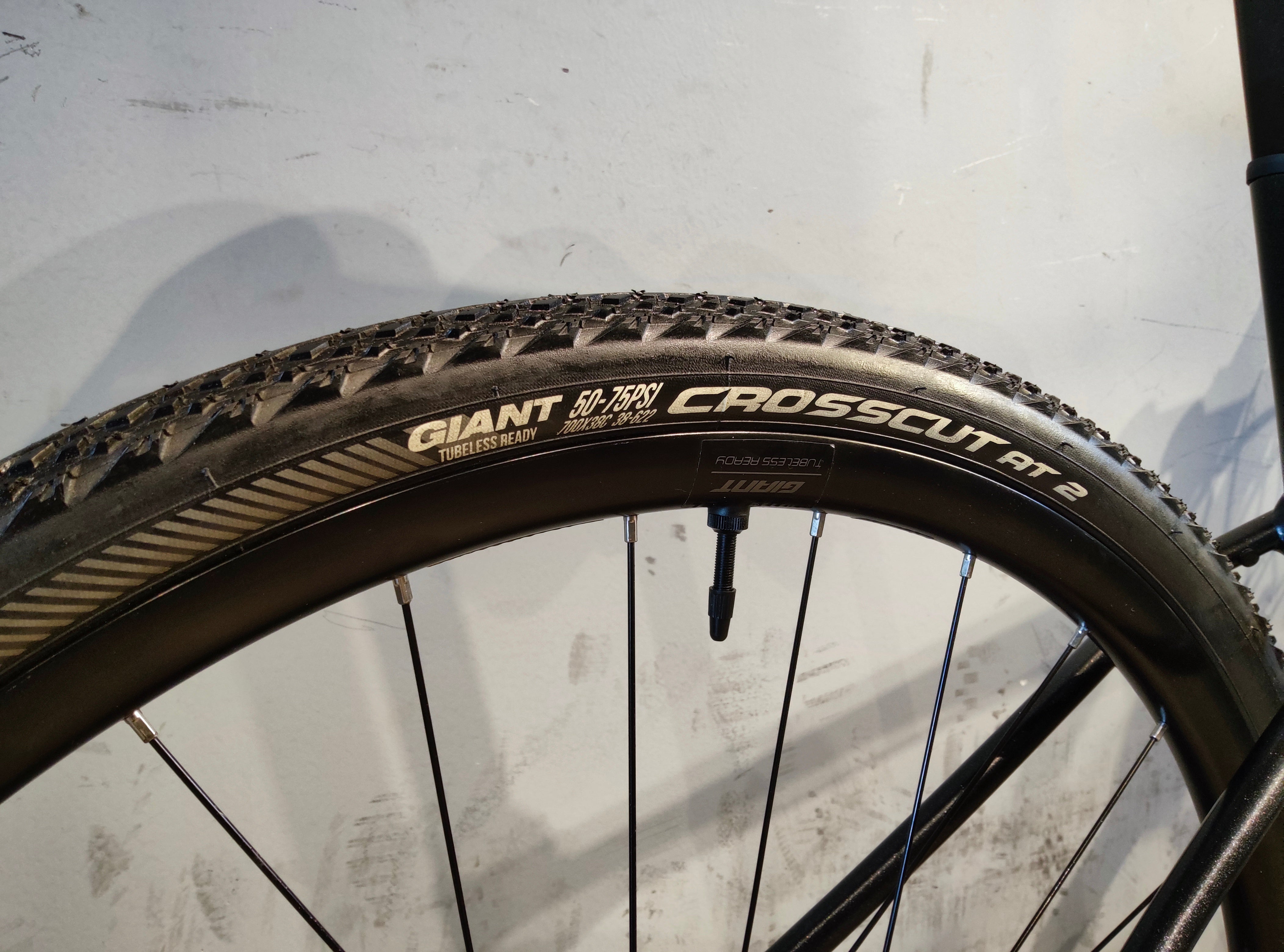 Giant Revolt 2 Gravel Bike