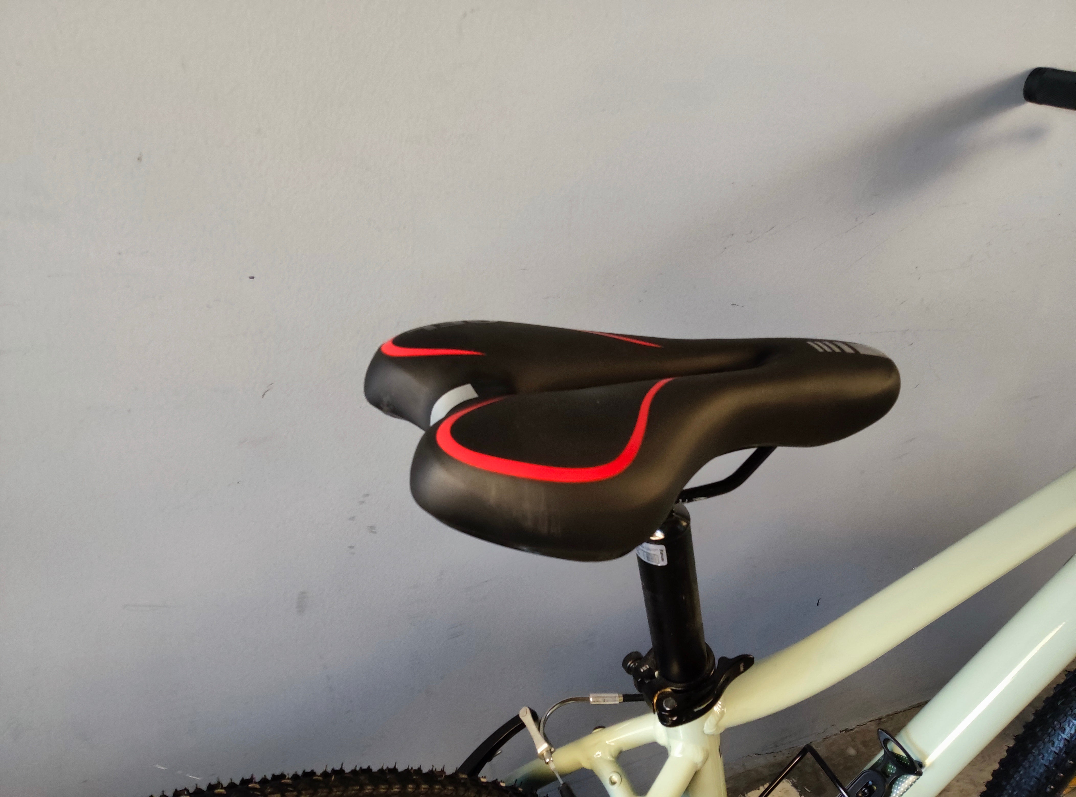 Liv Bliss Mountain Bike