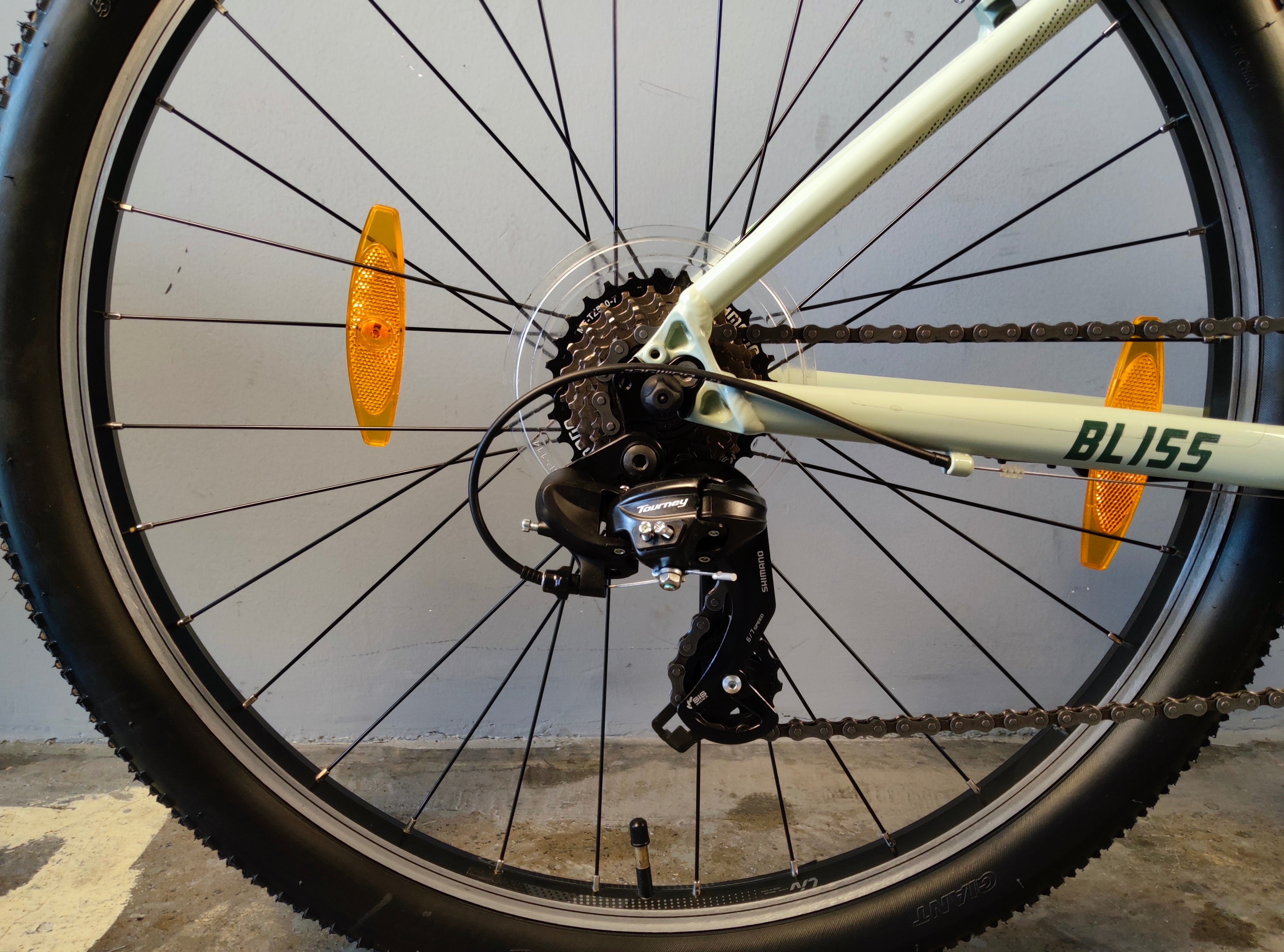 Liv Bliss Mountain Bike