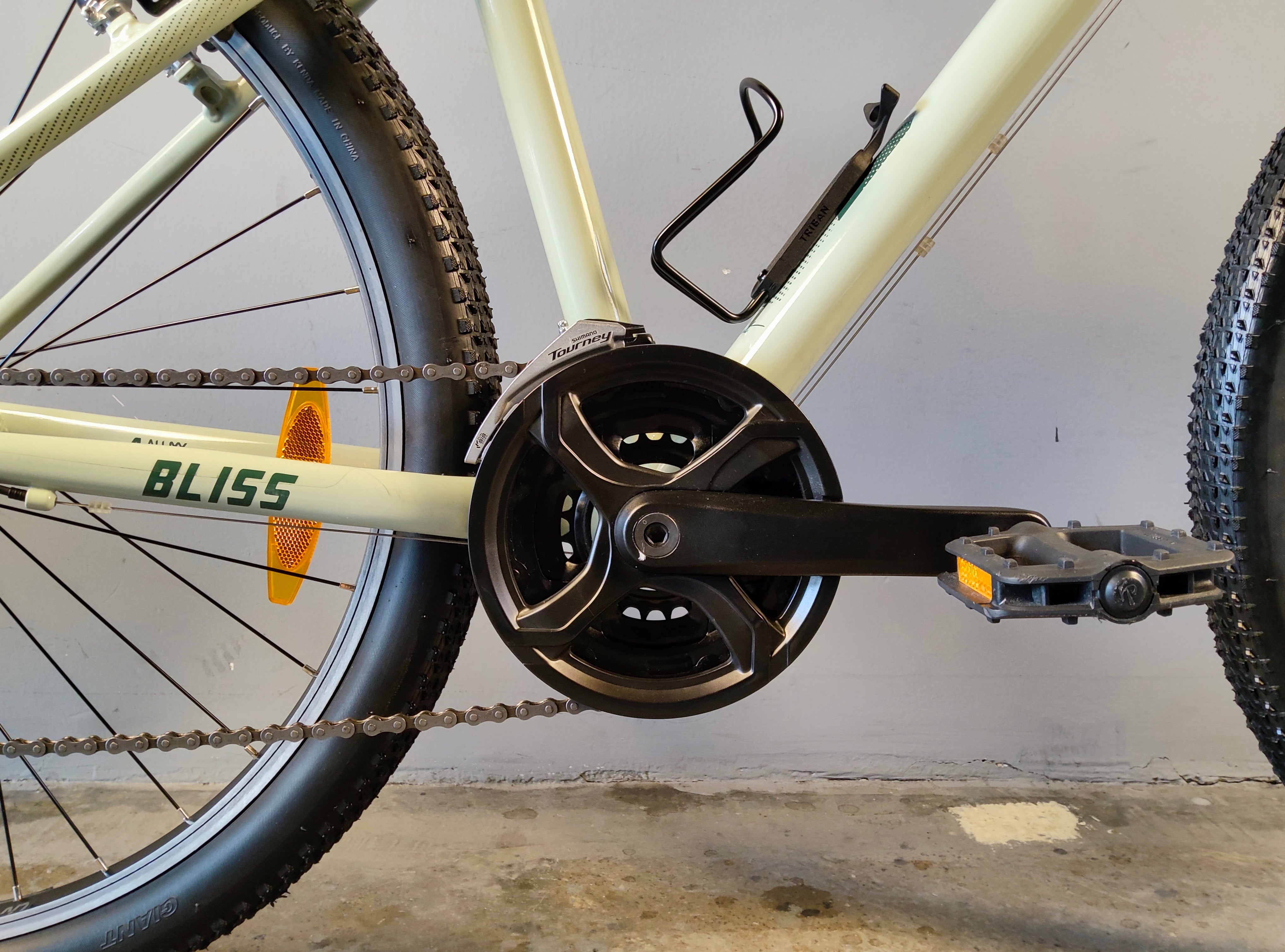 Liv Bliss Mountain Bike