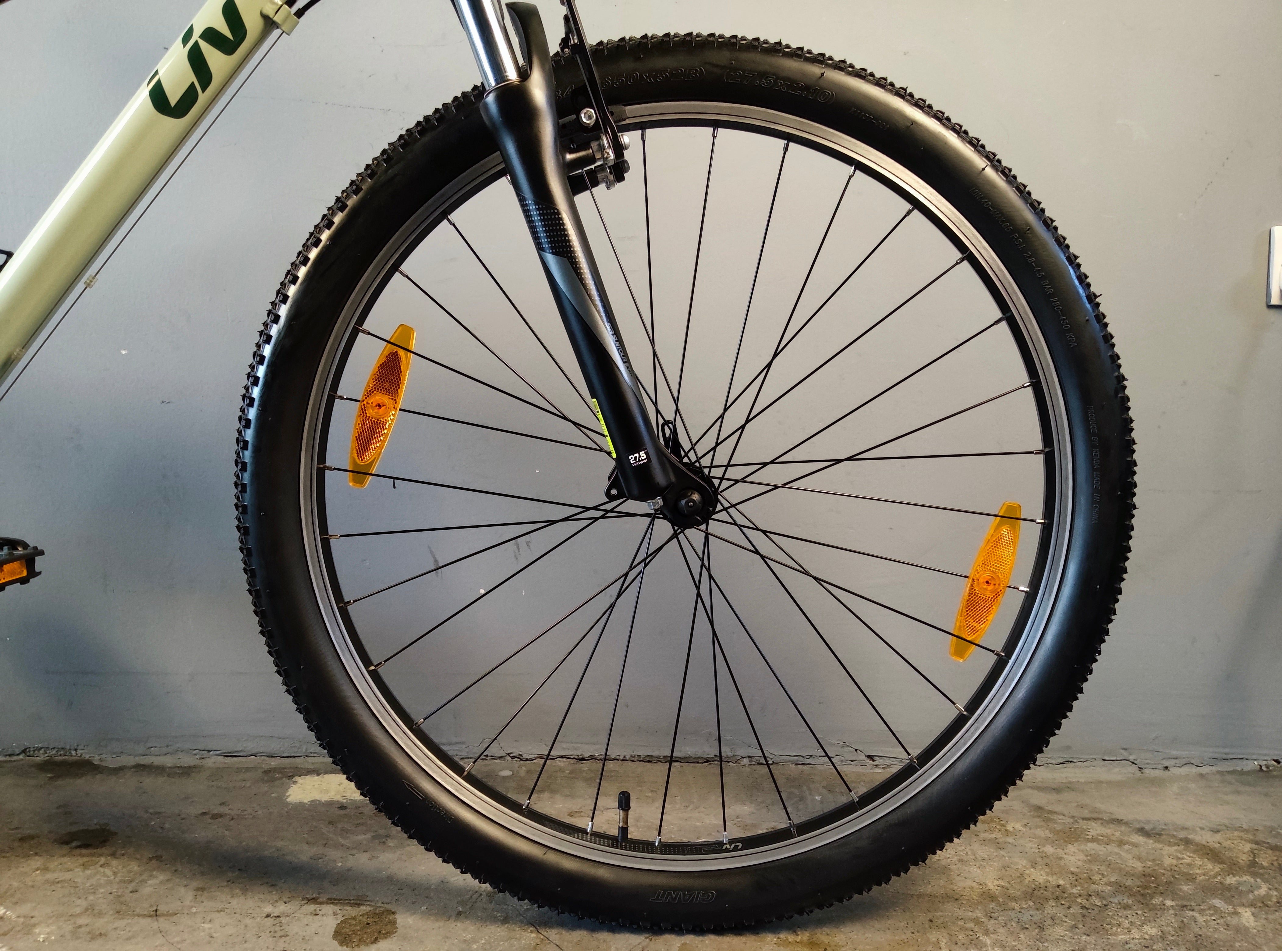 Liv Bliss Mountain Bike