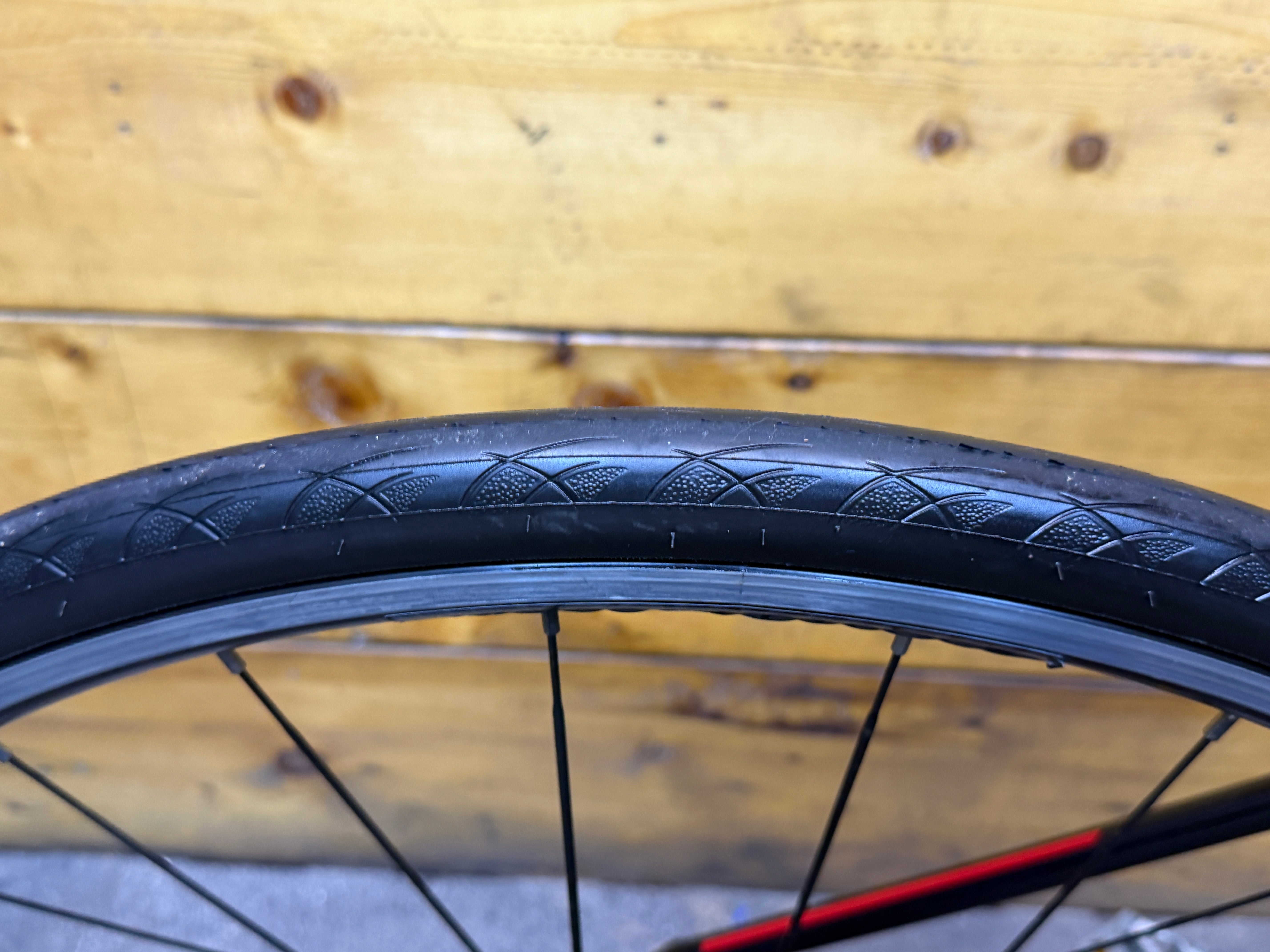 Trek Domane AL 2 Women's Road Bike