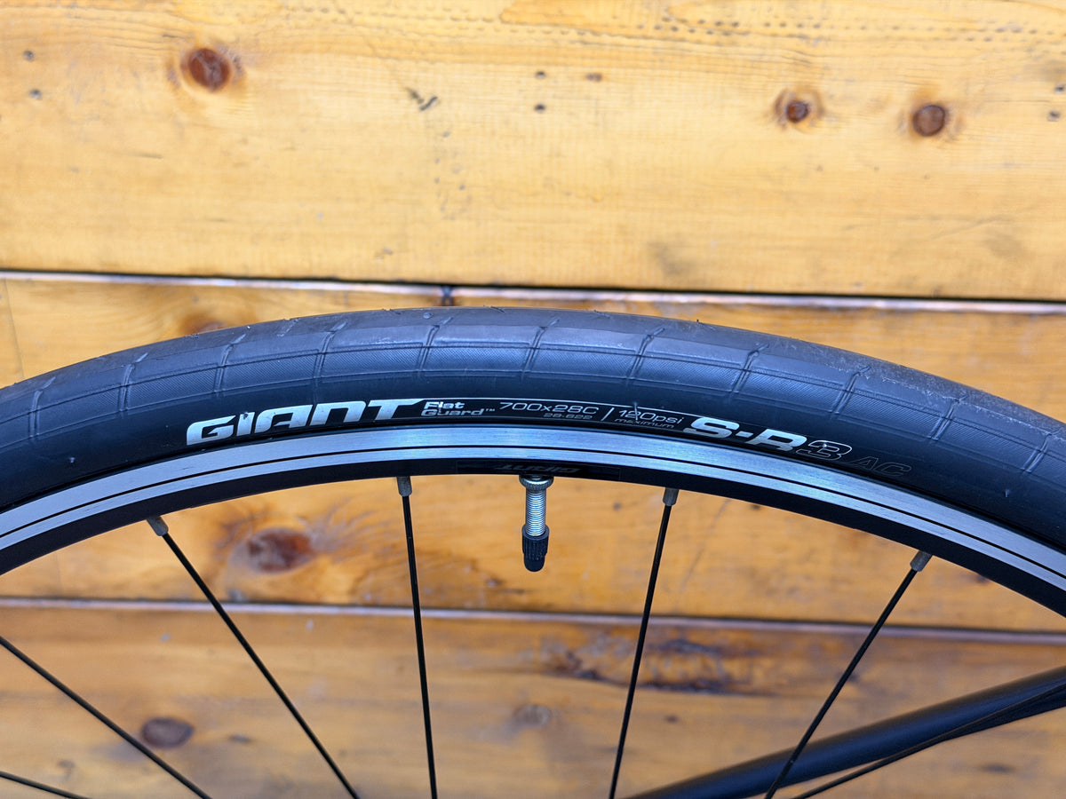 Giant Contend 3 Road Bike