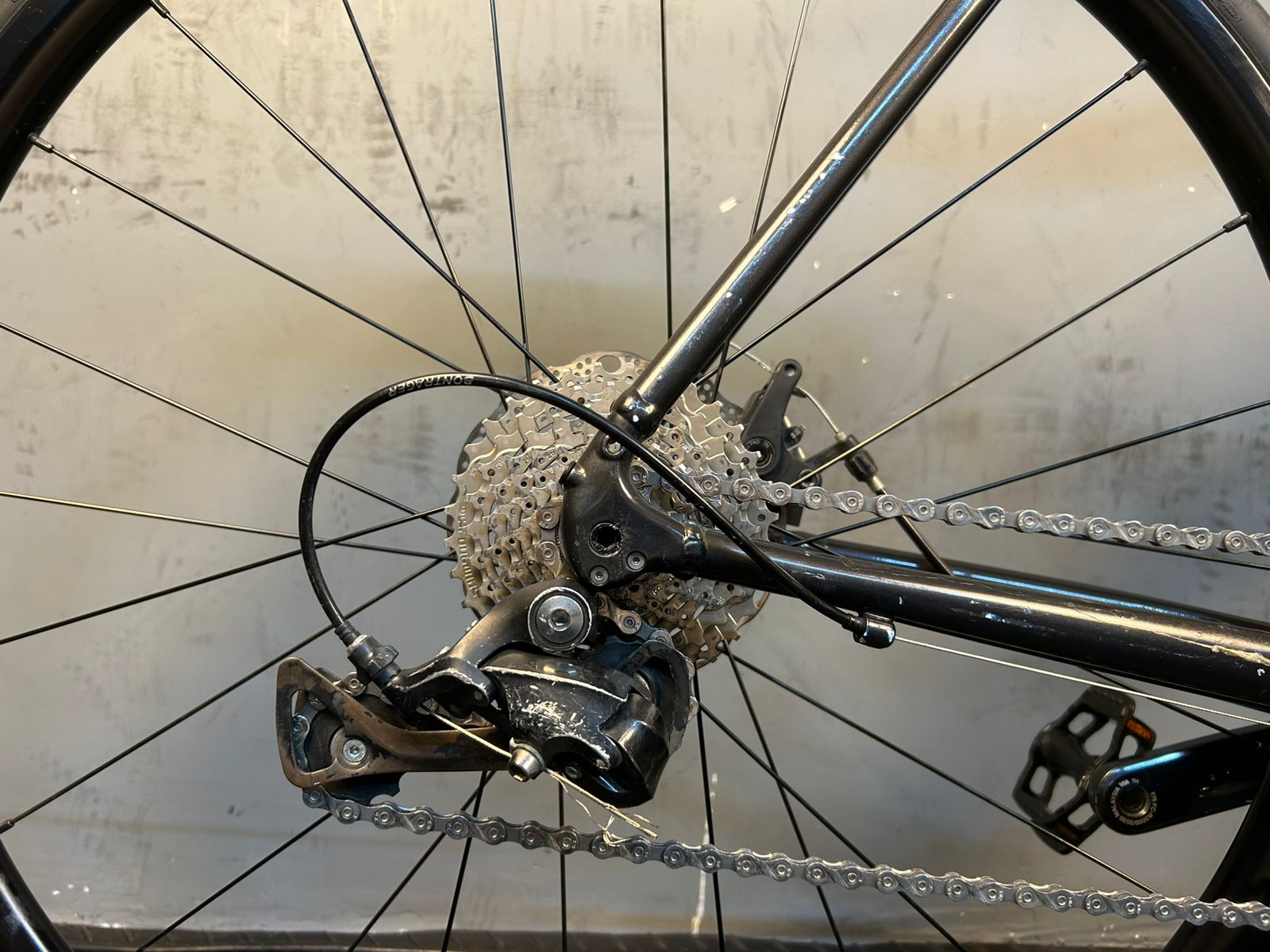 RENT Trek Domane AL3 Road Bike