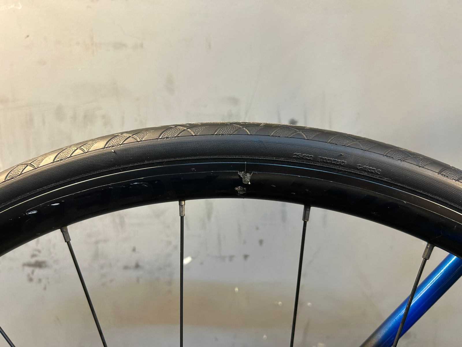 RENT Trek Domane AL3 Road Bike