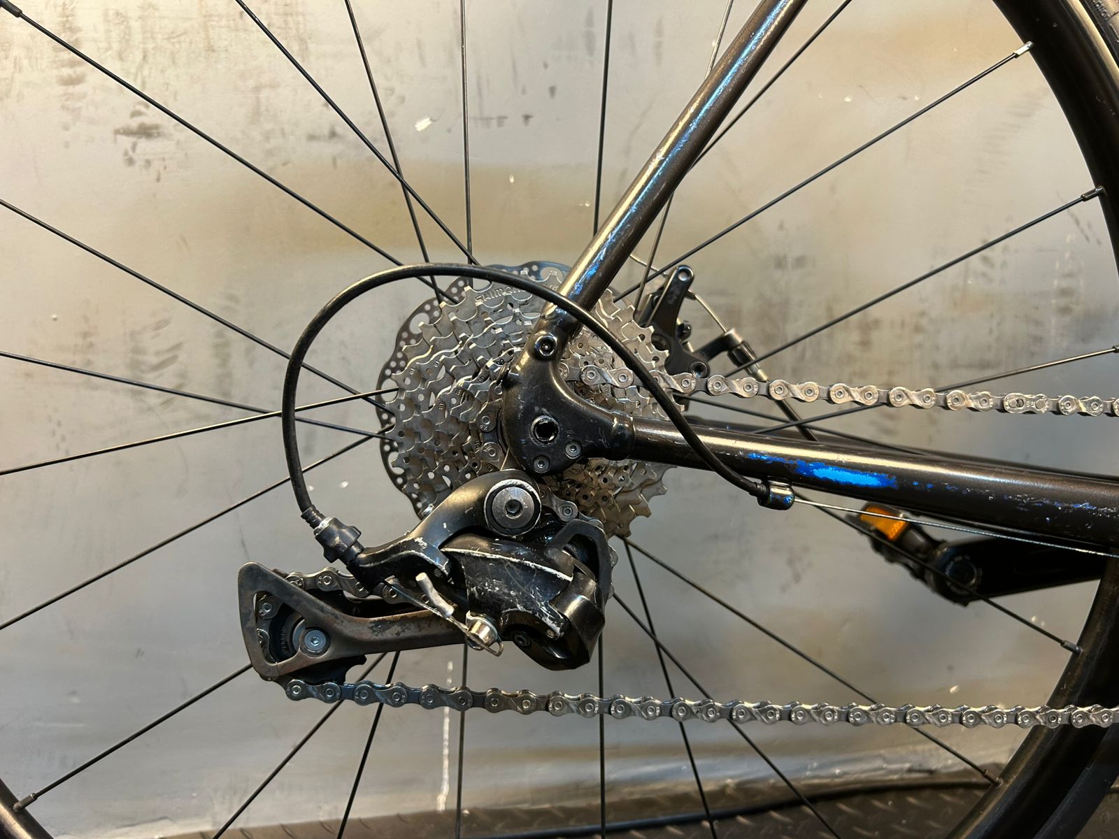 RENT Trek Domane AL3 Road Bike