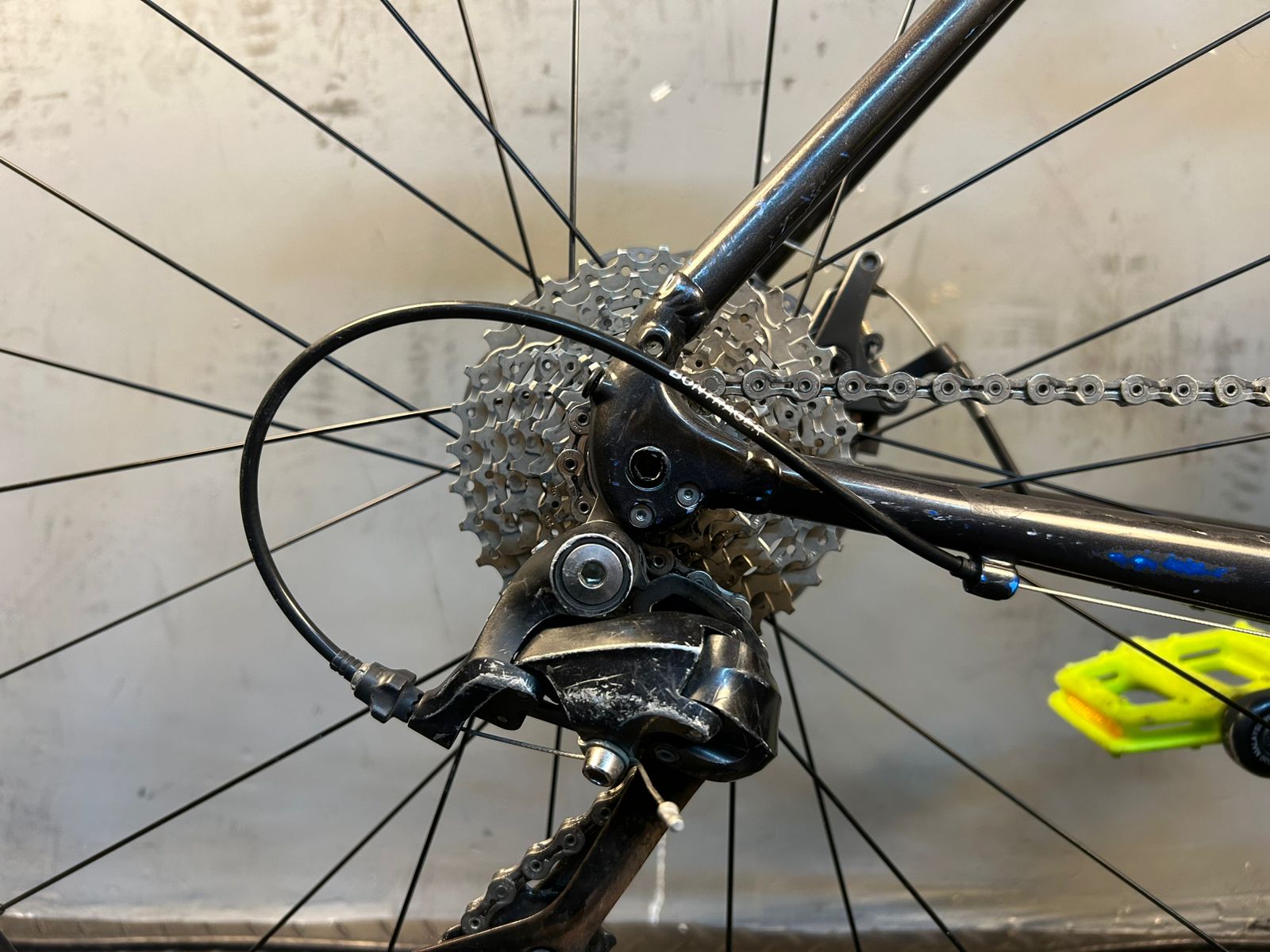 RENT Trek Domane AL3 Road Bike