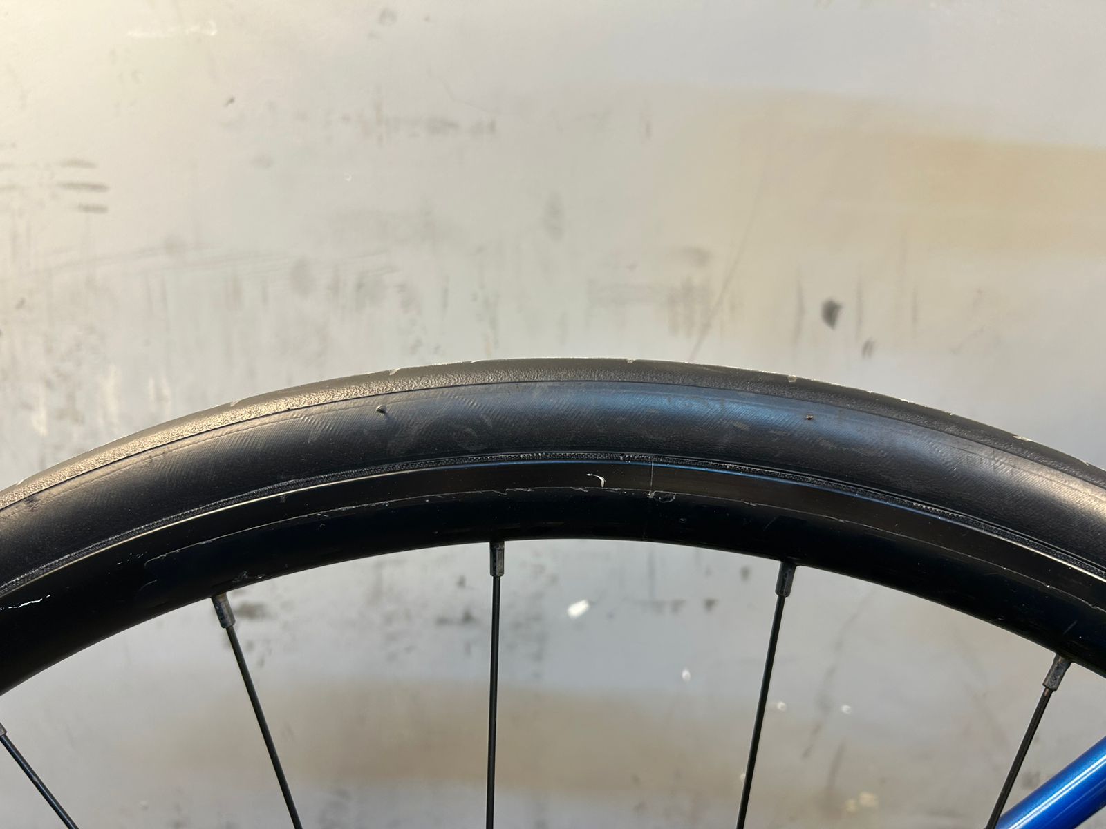 RENT Trek Domane AL3 Road Bike